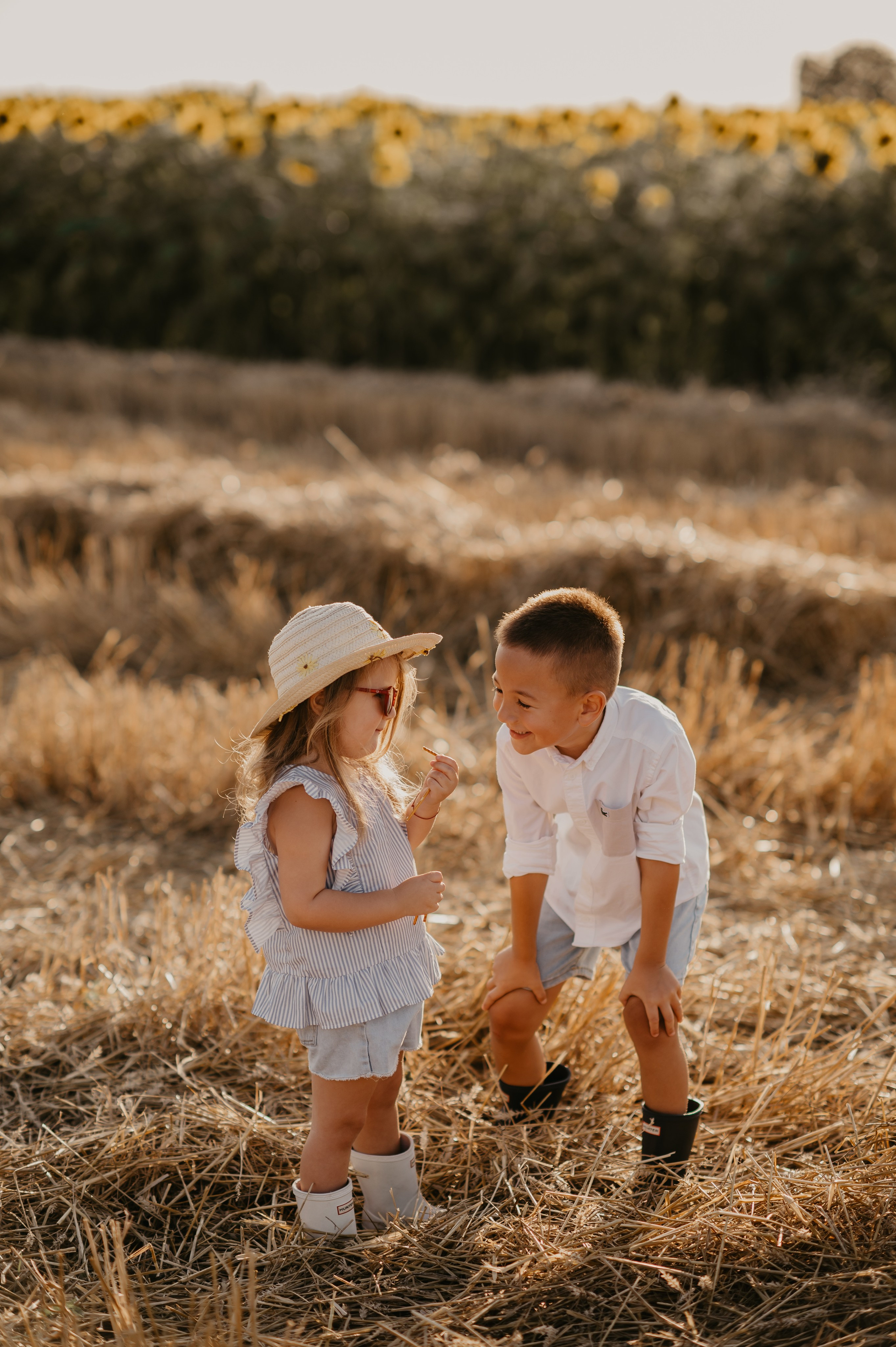 Polje suncokreta. Ana Sladojevic