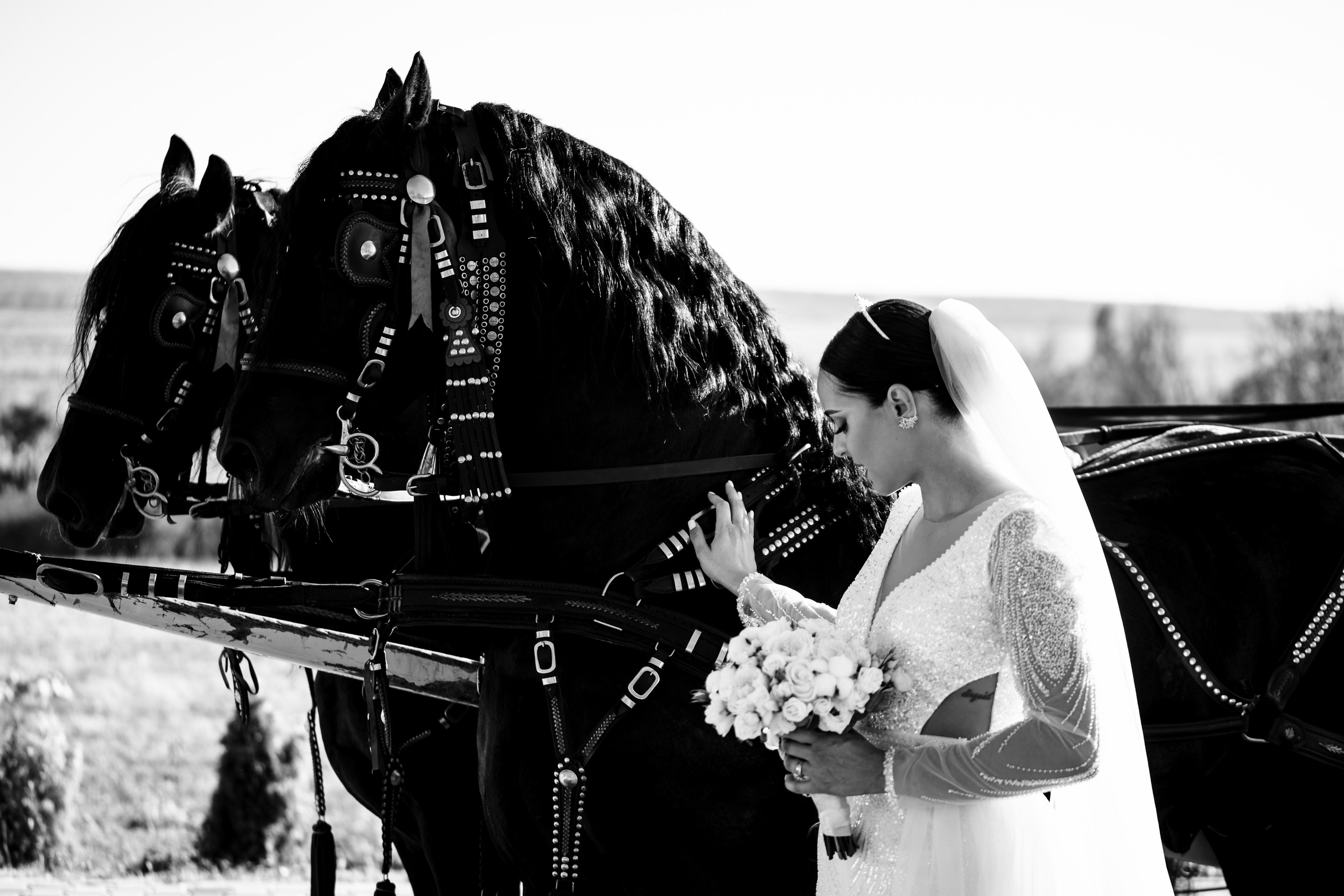 Iustina & Ionut. Fotograf nunta si evenimente Giurgiu