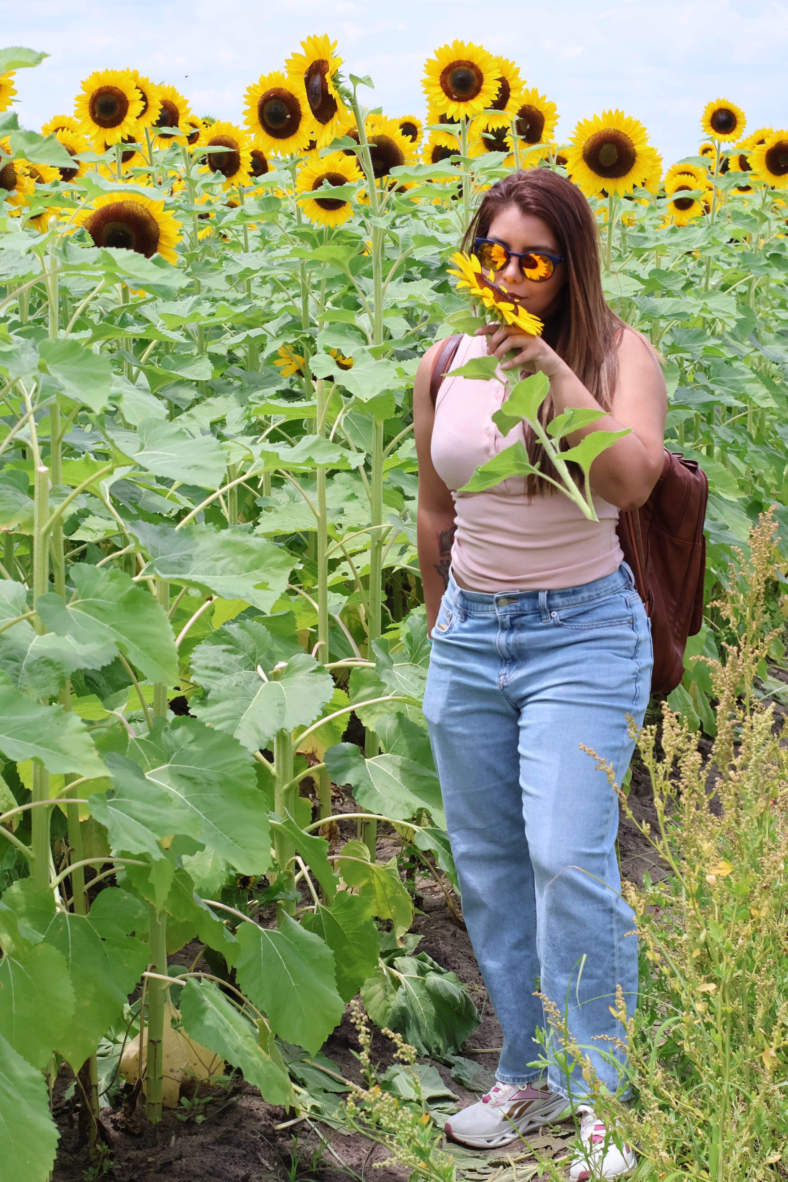 SUNFLOWERS. Workmakeapp Studio
