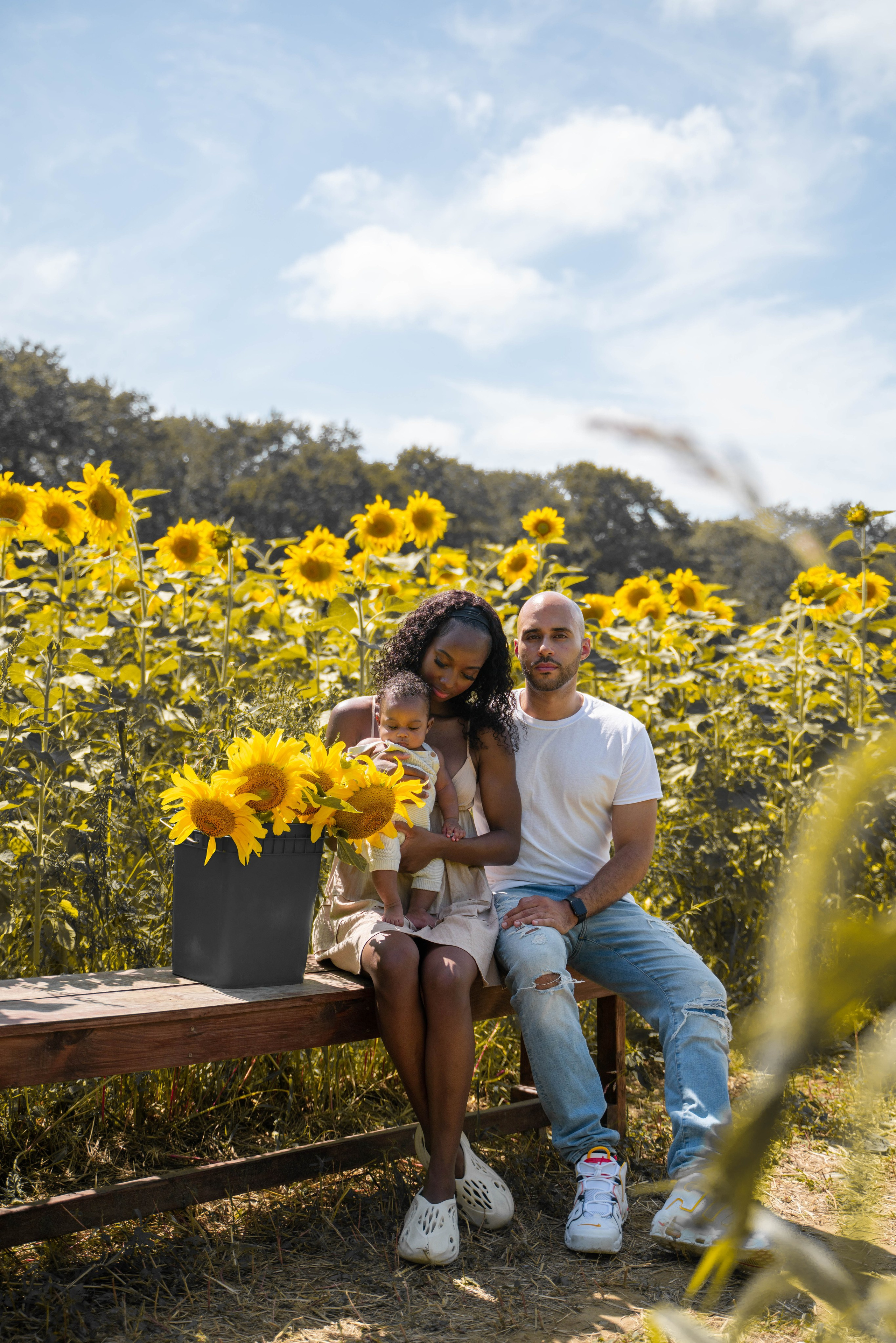 Jennifer and Louis at Sunflowers Farm. Stefanovich Photography | Boston, MA