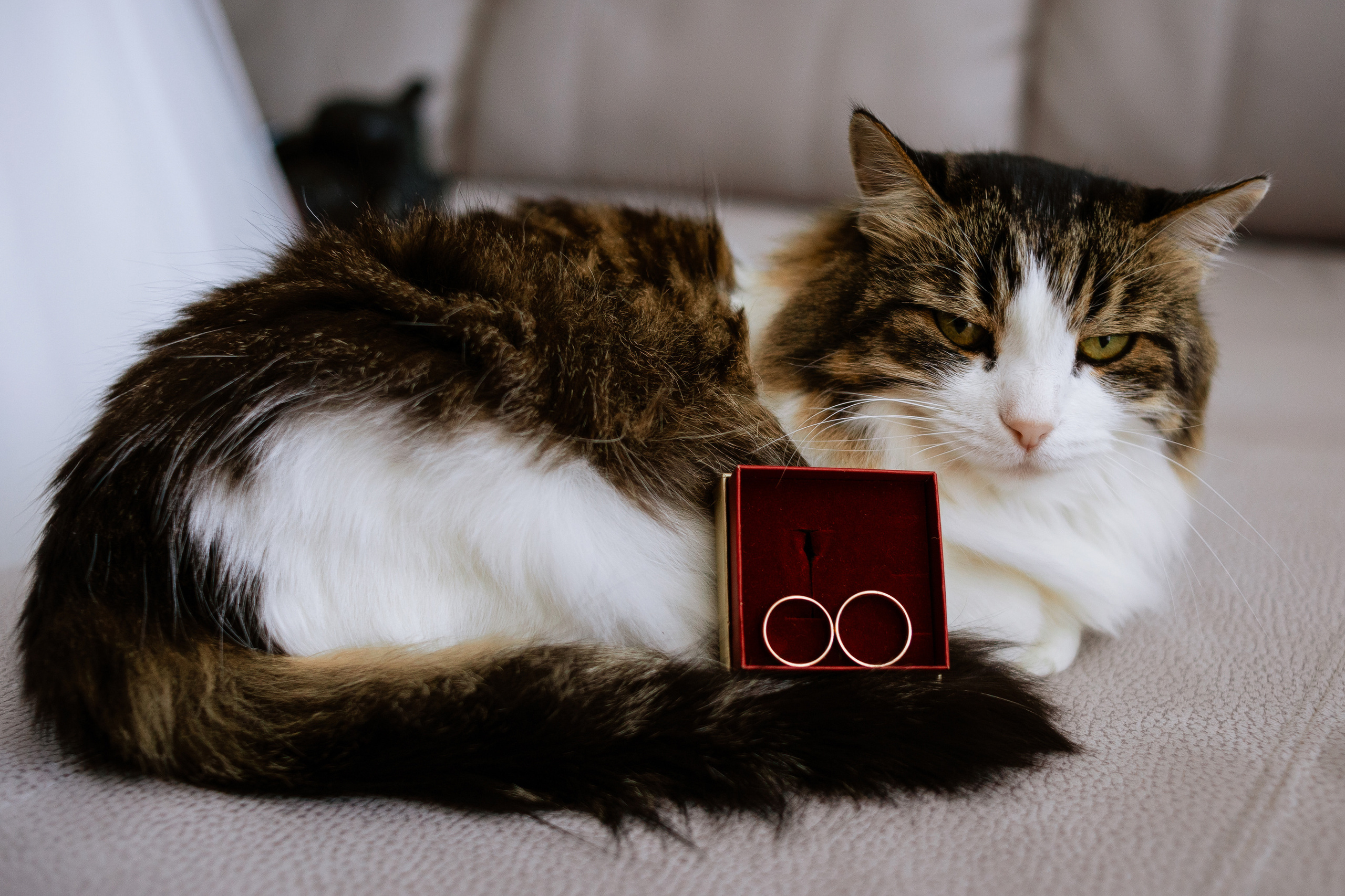 Wedding. Профессиональный фотограф Нурмиева Вероника