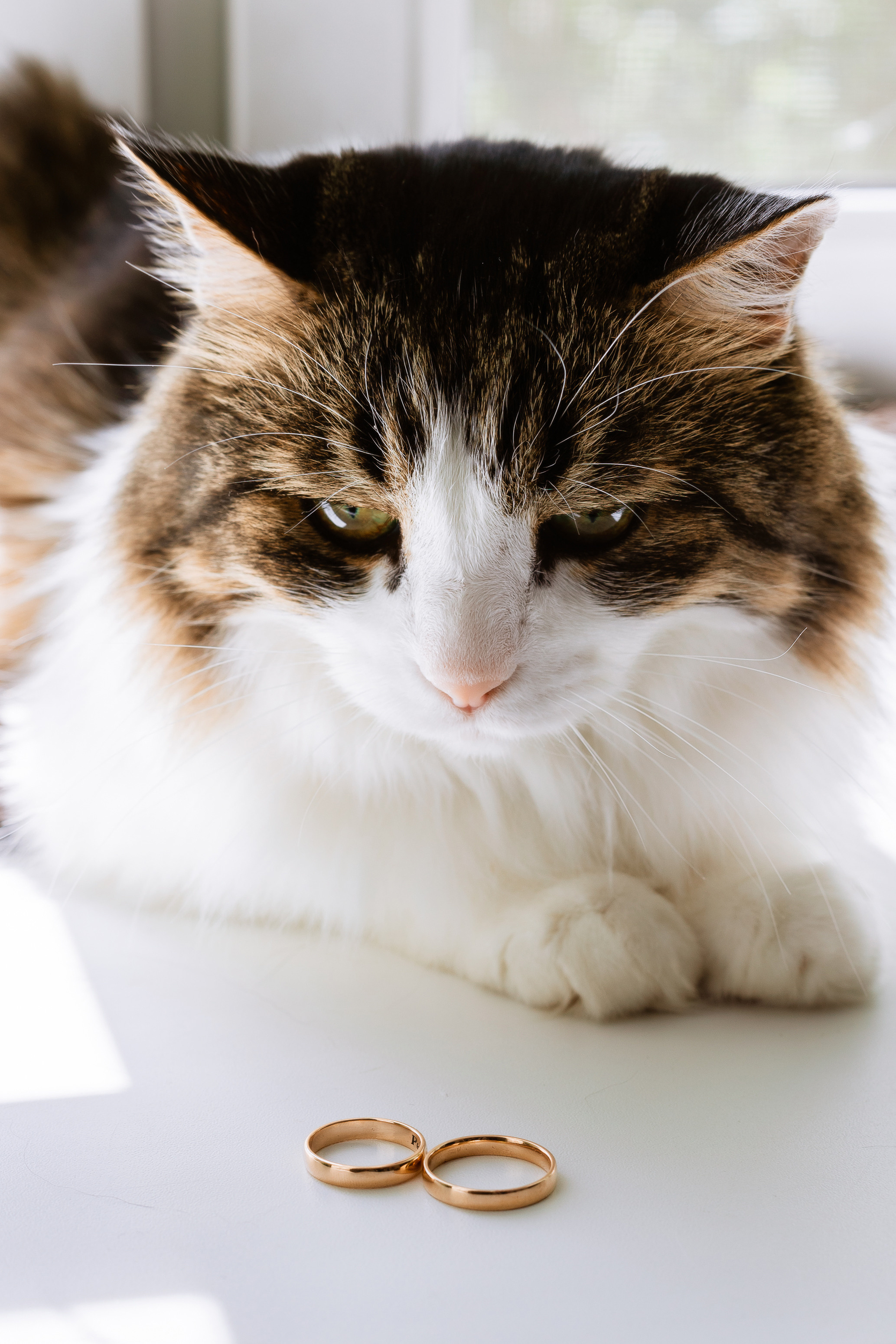 Anna & Pavel. Профессиональный фотограф Нурмиева Вероника