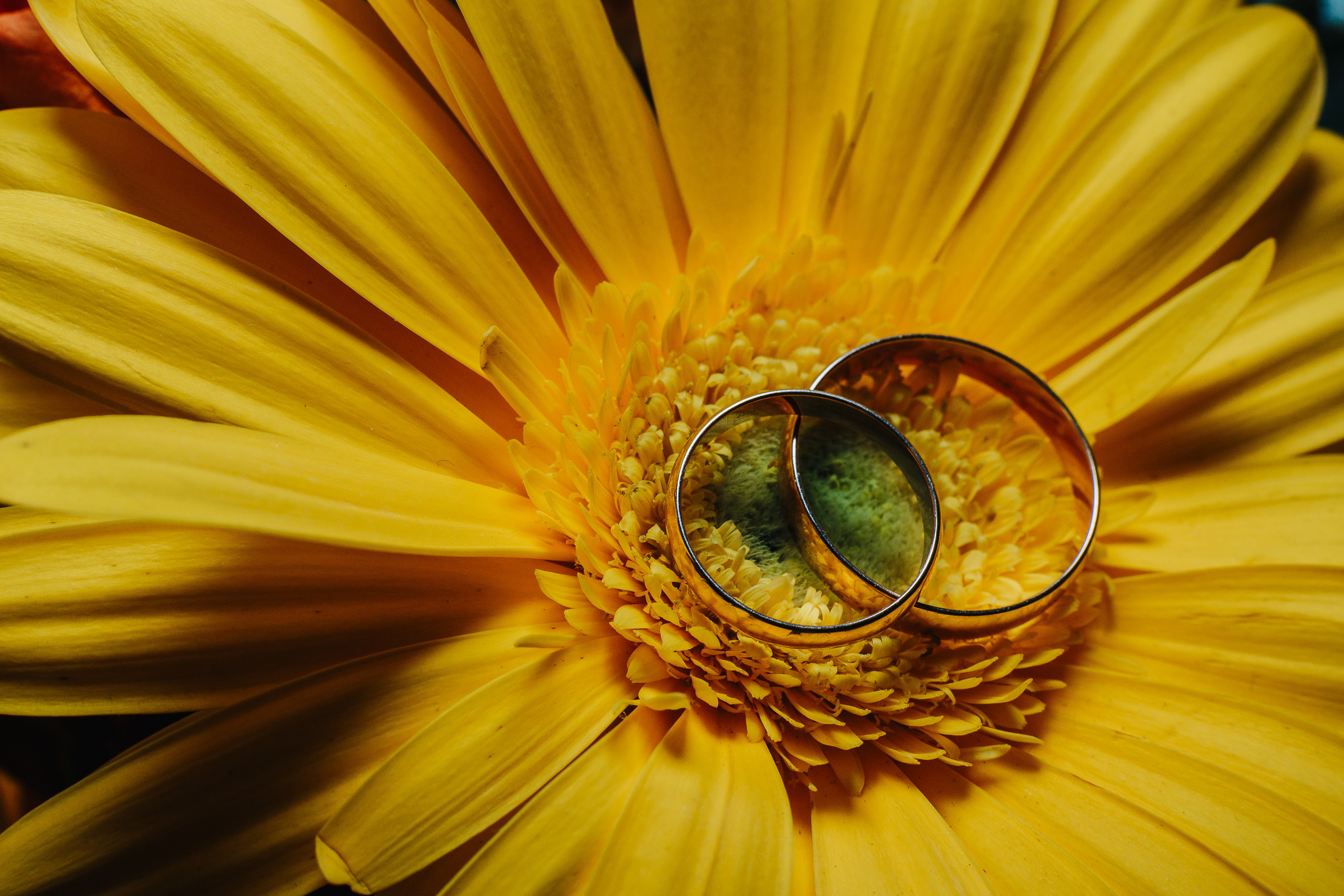 Other wedding photos. Профессиональный фотограф Нурмиева Вероника