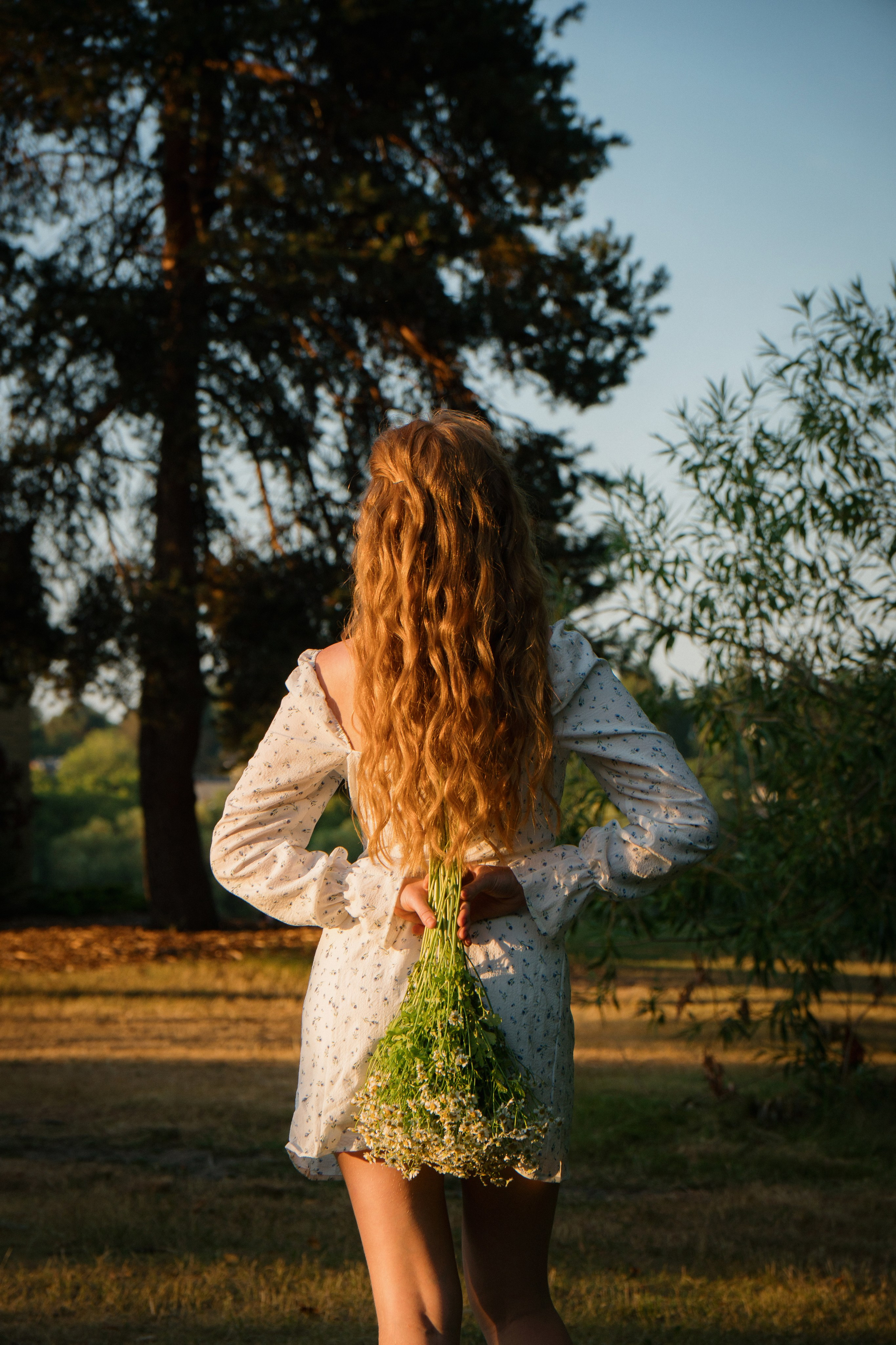 Ralina. Photographer in Washington Sophia D