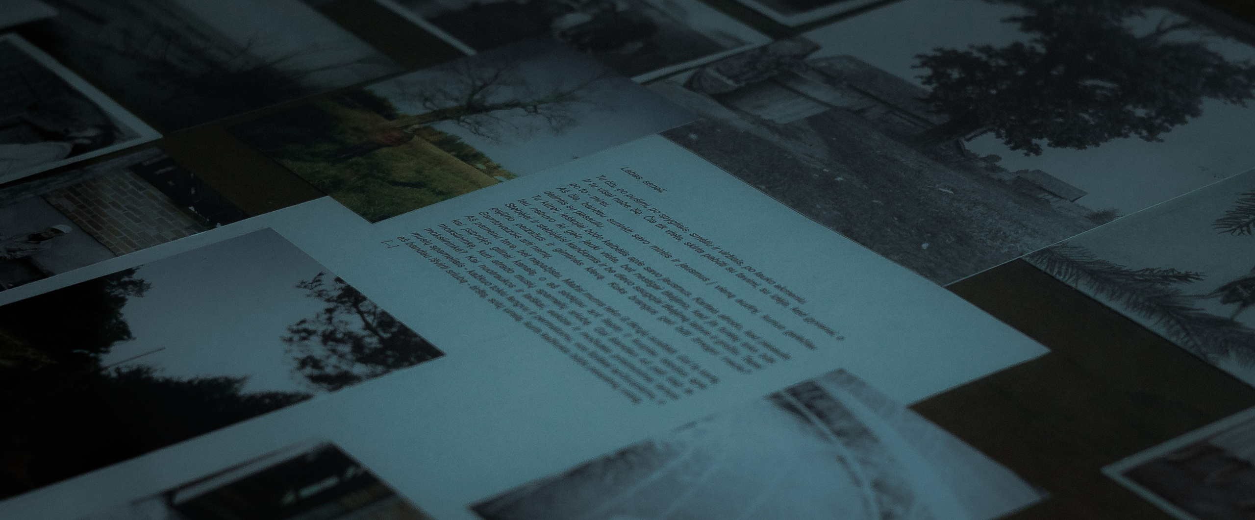 Street. Portrait and Street photographer in Vilnius Edgar Shaipunas