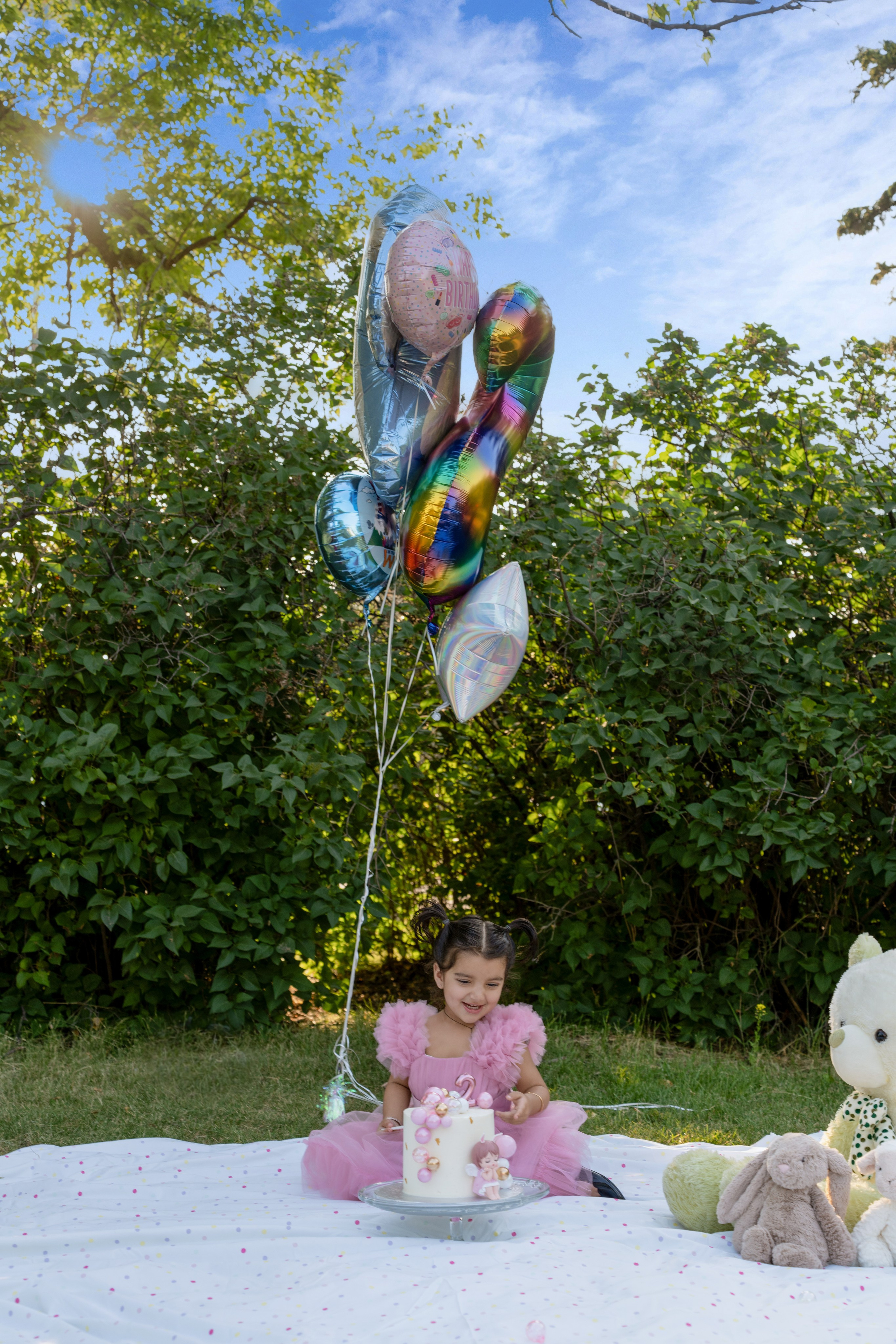 Sukhpinder Family. Engagement, Wedding & Family Photographer in Calgary | allo Photography