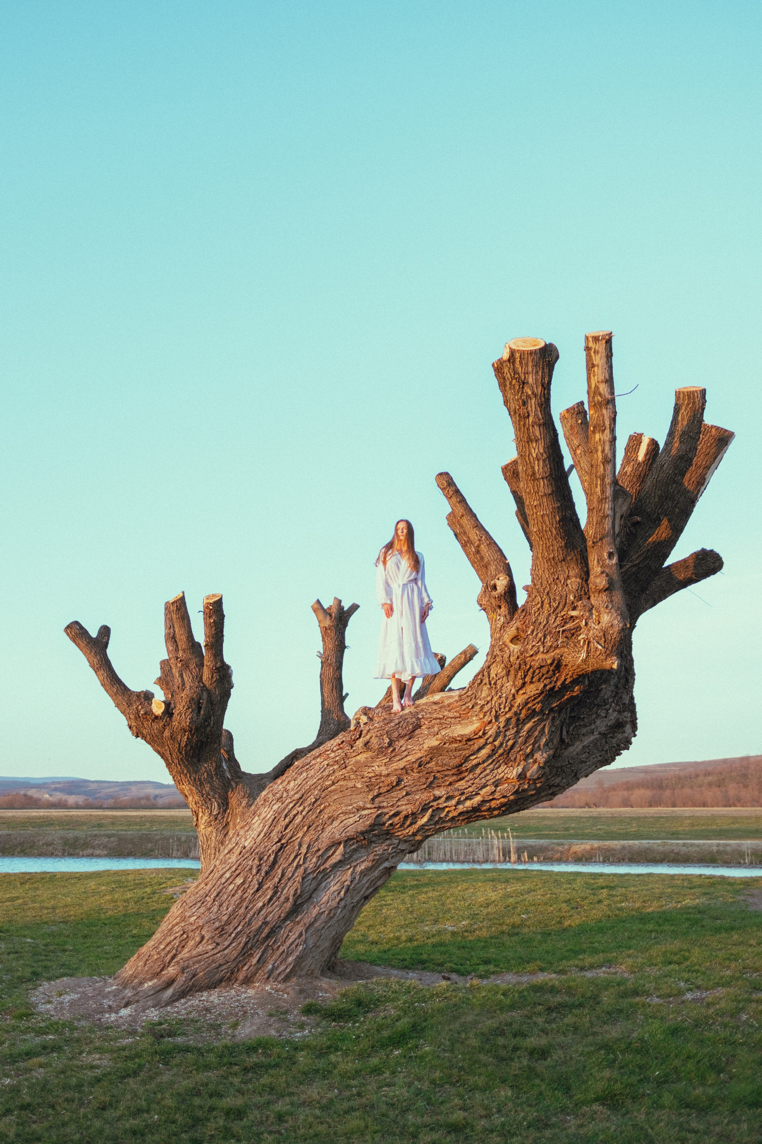 Marharyta&Veron. VOLKOVA OLGA