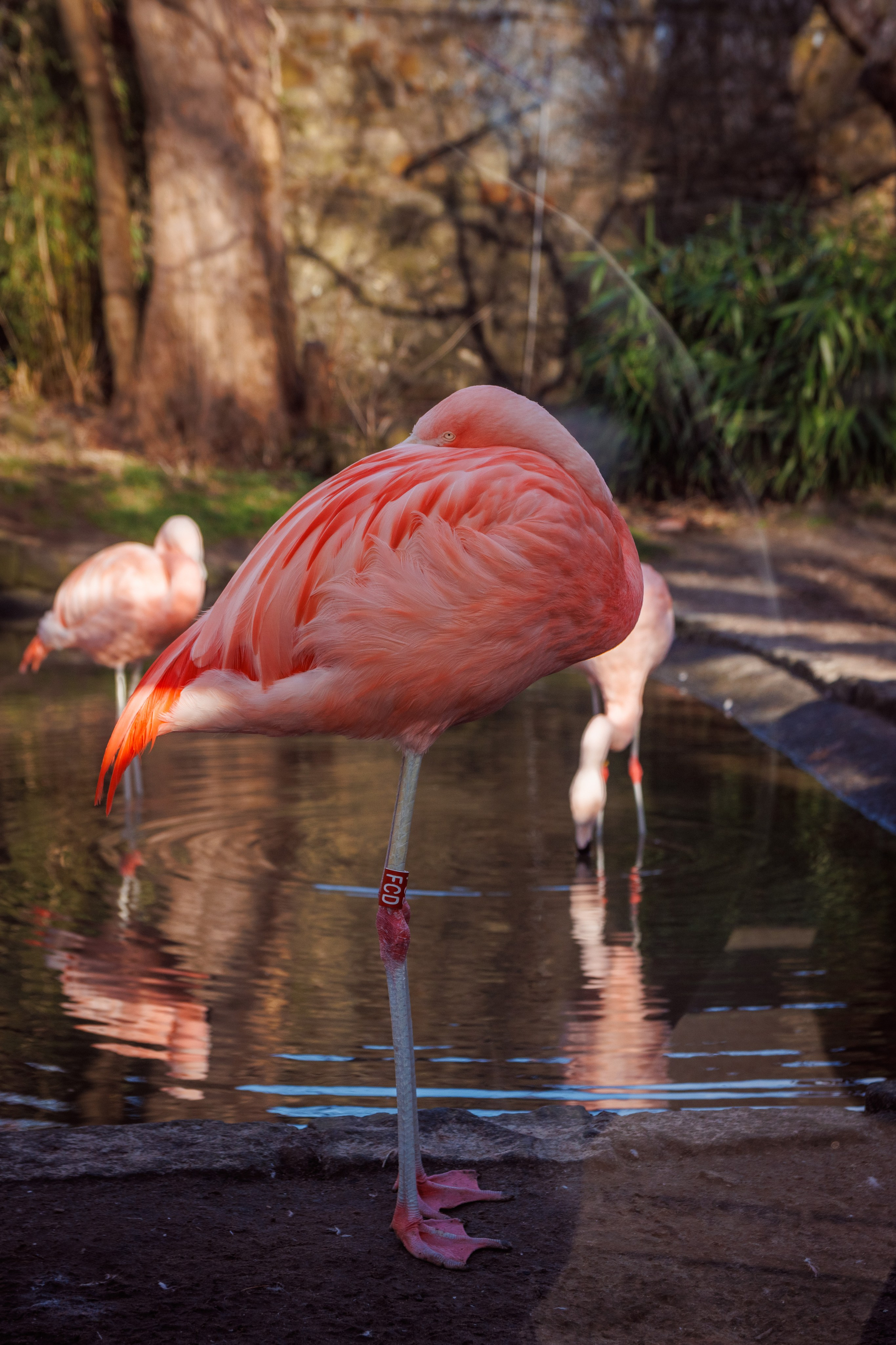 Nature. Portrait and Street photographer in Vilnius Edgar Shaipunas