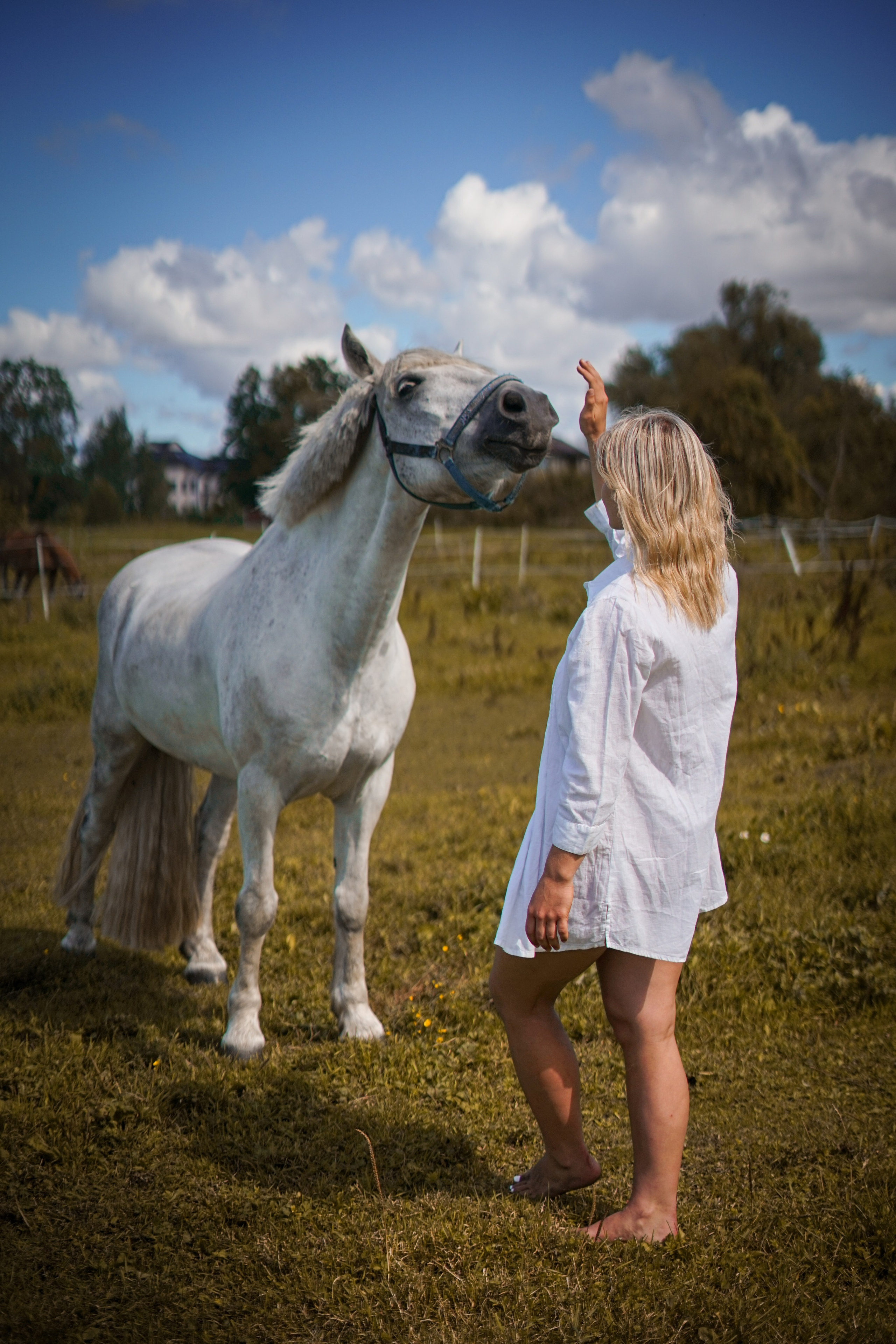 Horses and Harmony Ft.Paula. Potrait Photography Arjunovision