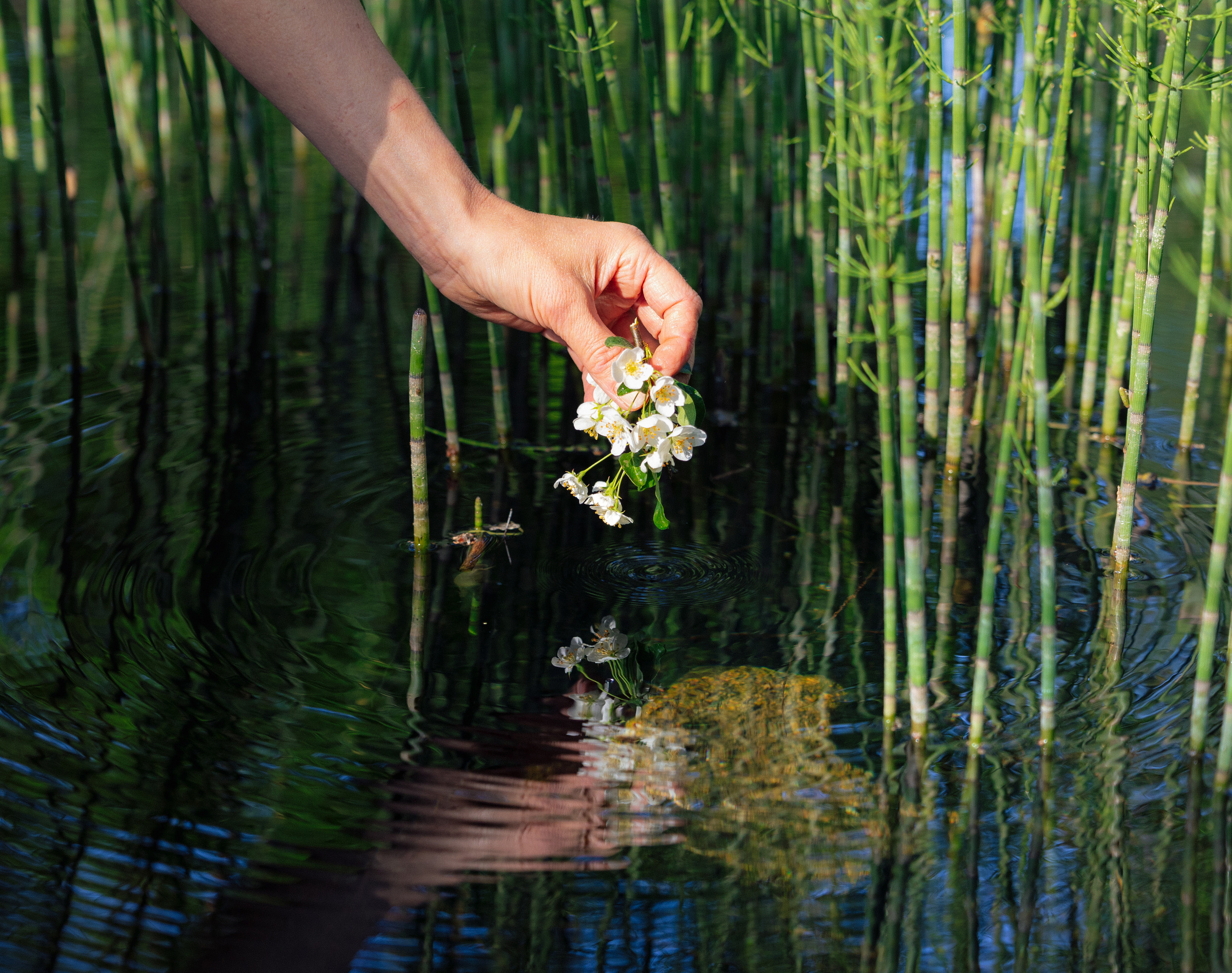 Woman and nature. Timeless Wedding & Event Photography from London to the world