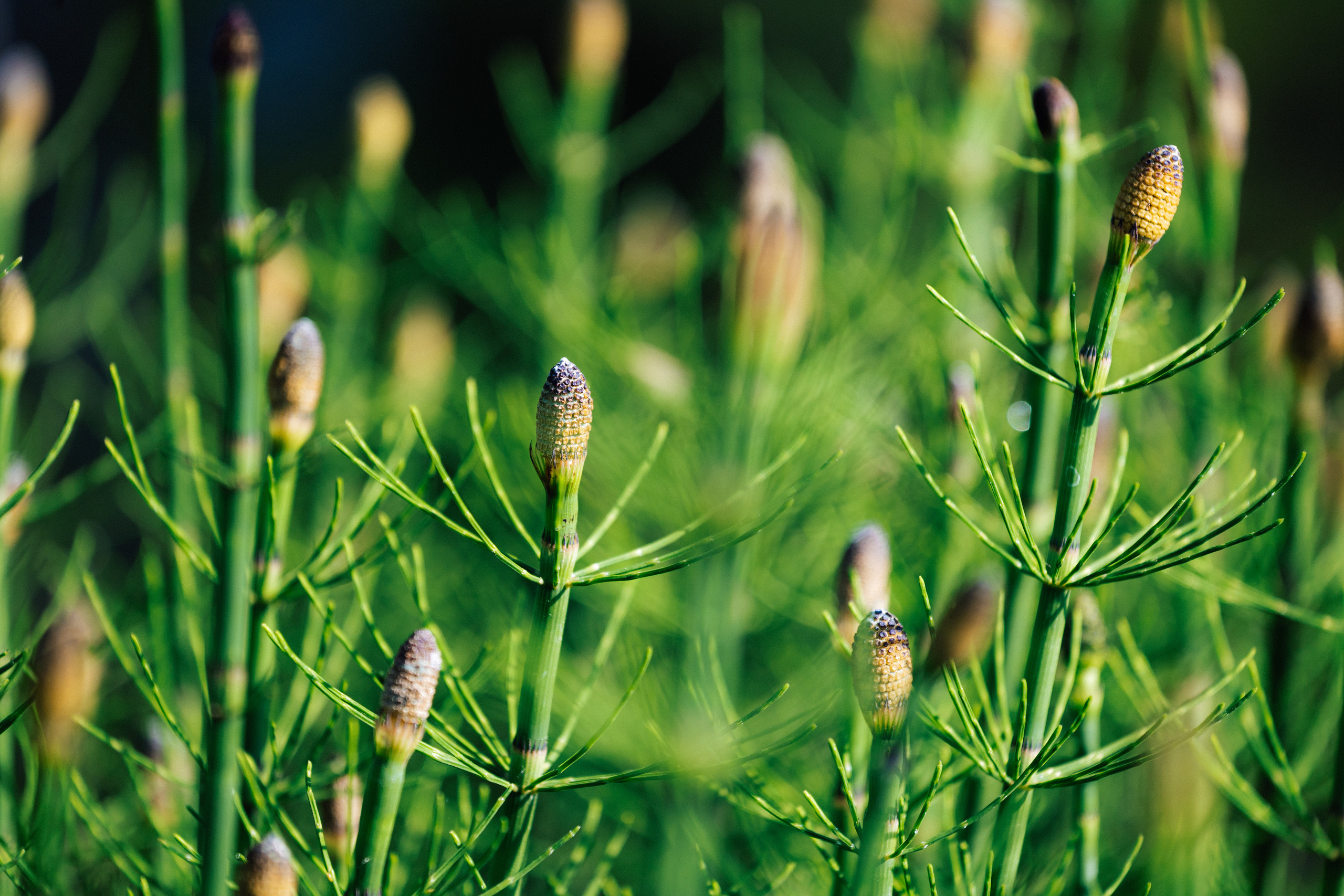 Woman and nature. Timeless Wedding & Event Photography from London to the world