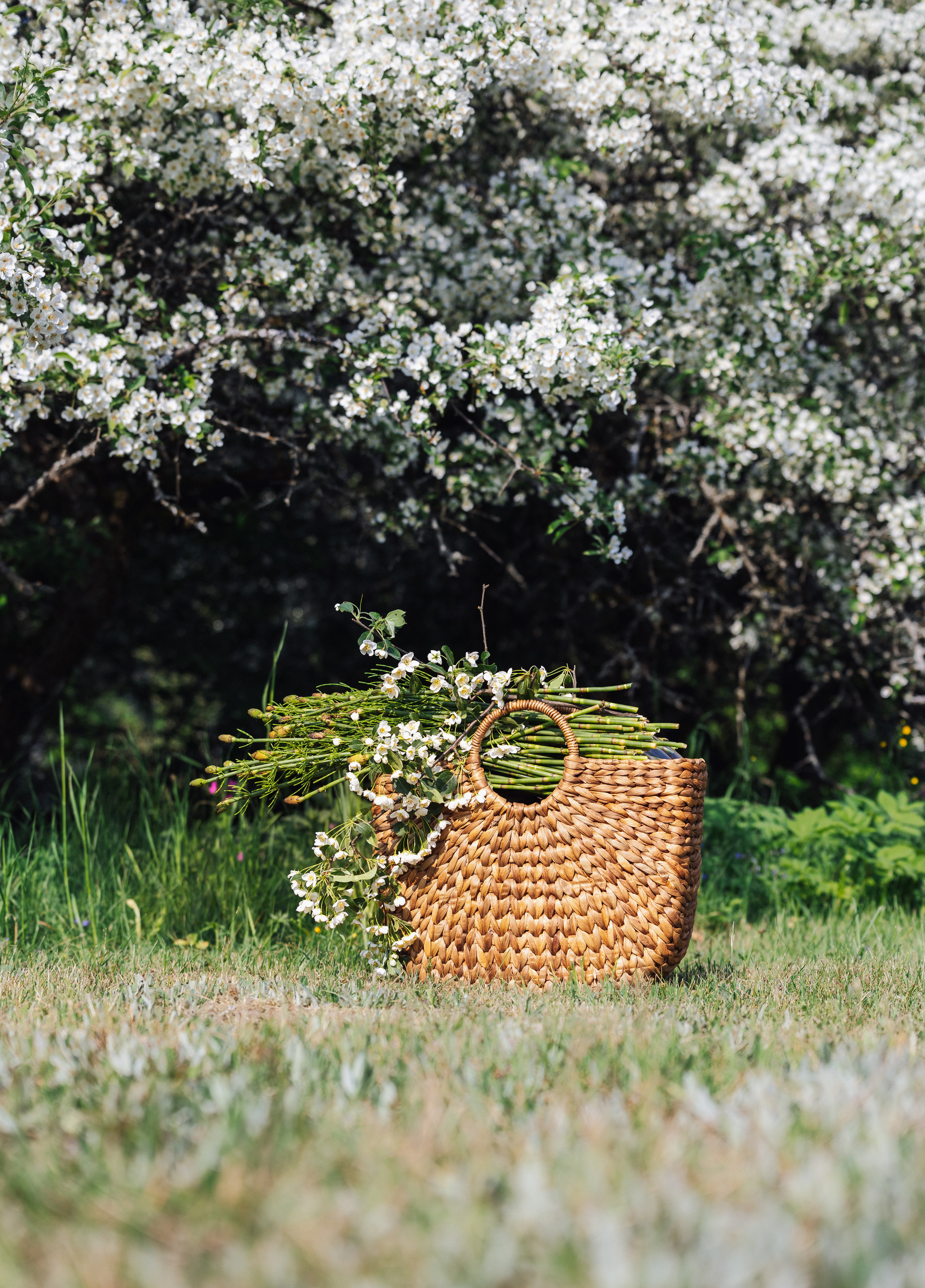 Woman and nature. Timeless Wedding & Event Photography from London to the world