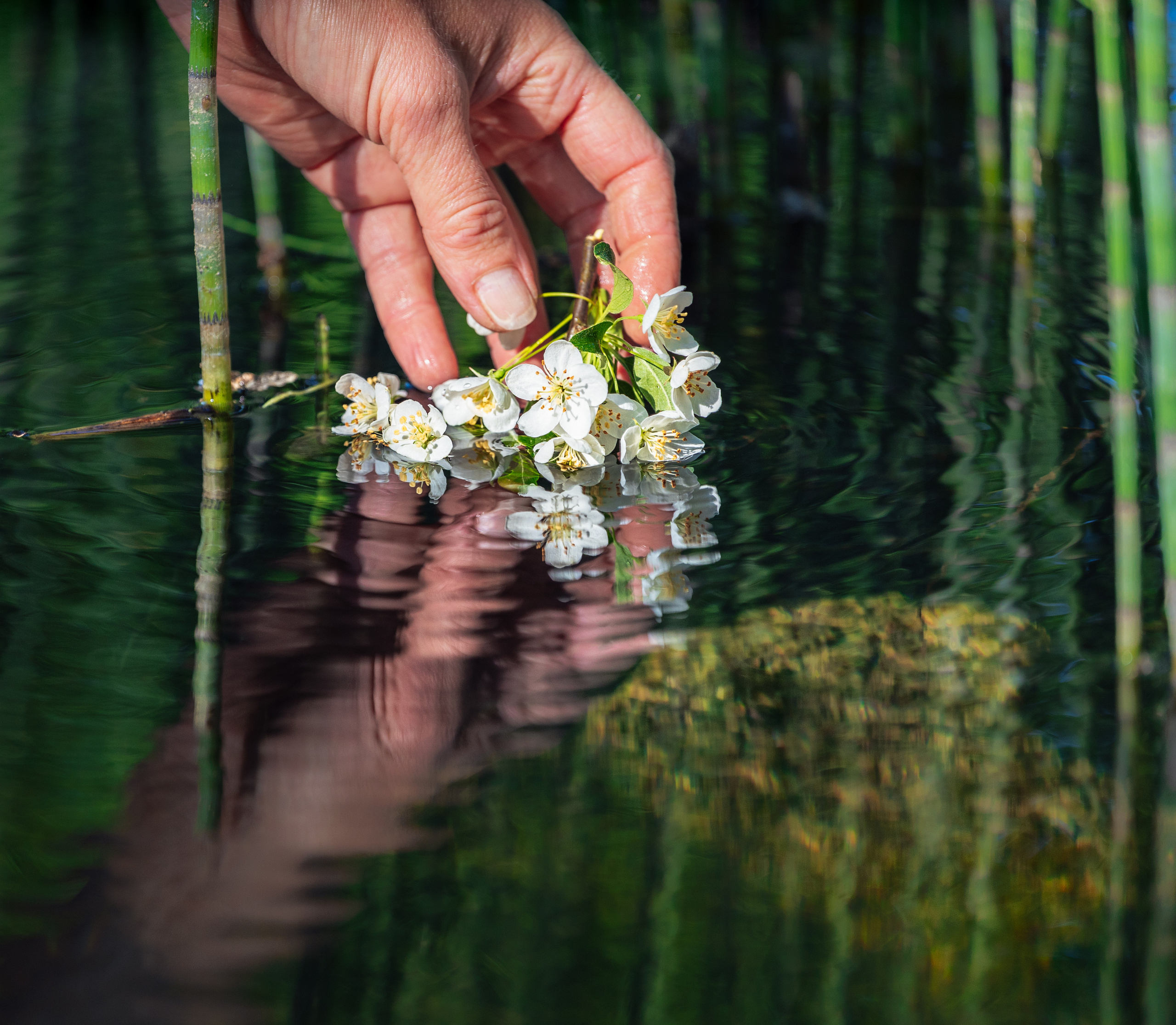 Woman and nature. Timeless Wedding & Event Photography from London to the world
