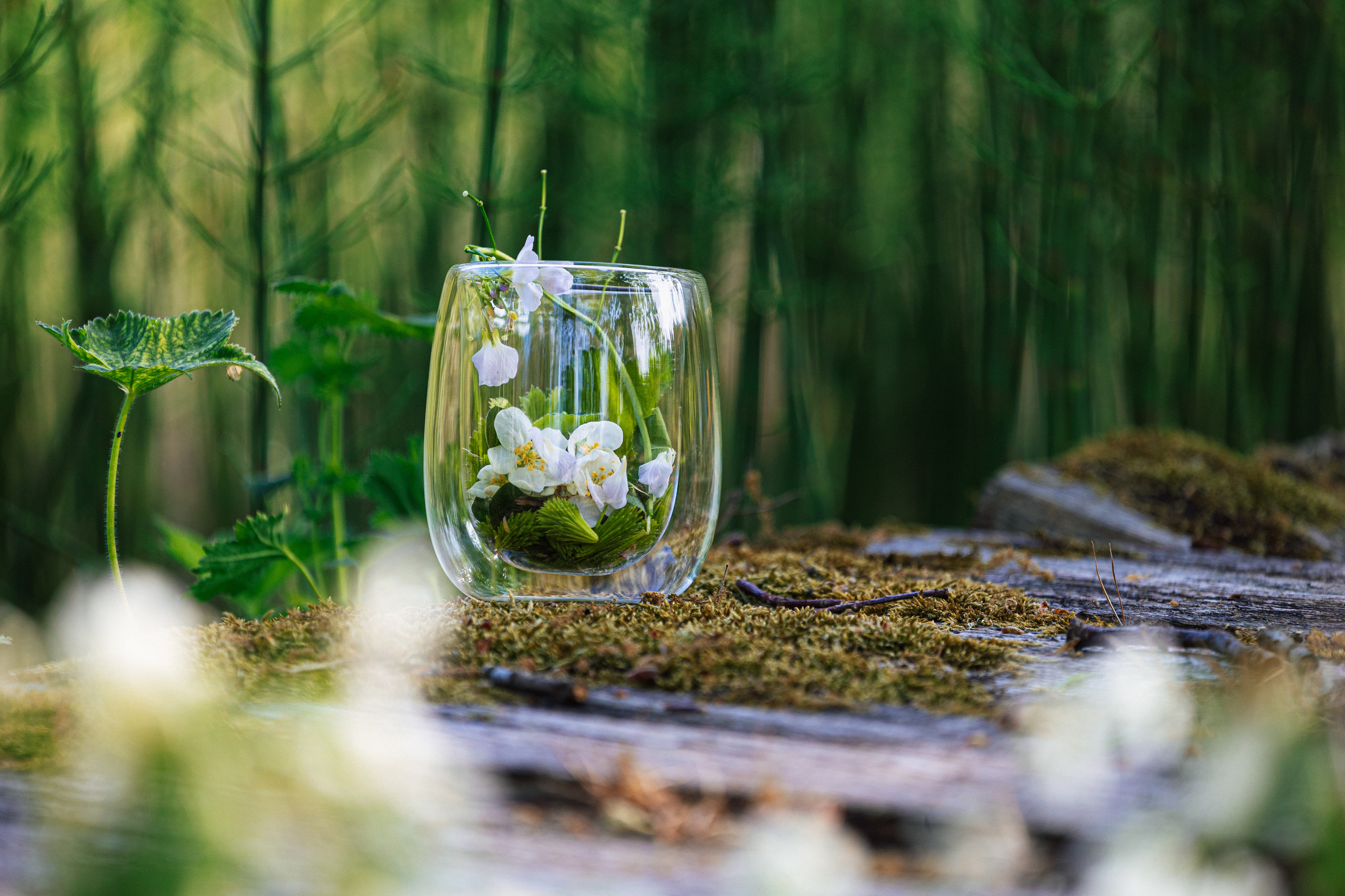 Woman and nature. Timeless Wedding & Event Photography from London to the world