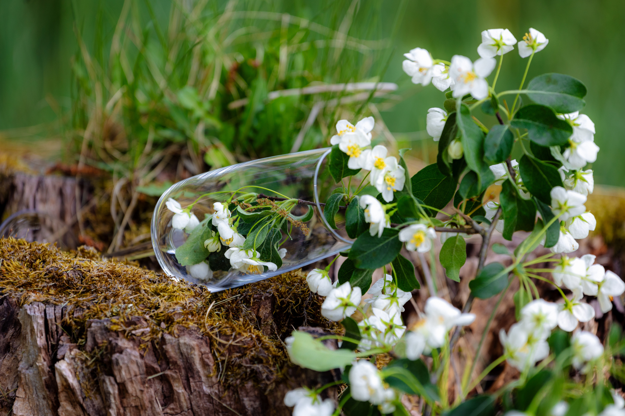 Woman and nature. Timeless Wedding & Event Photography from London to the world