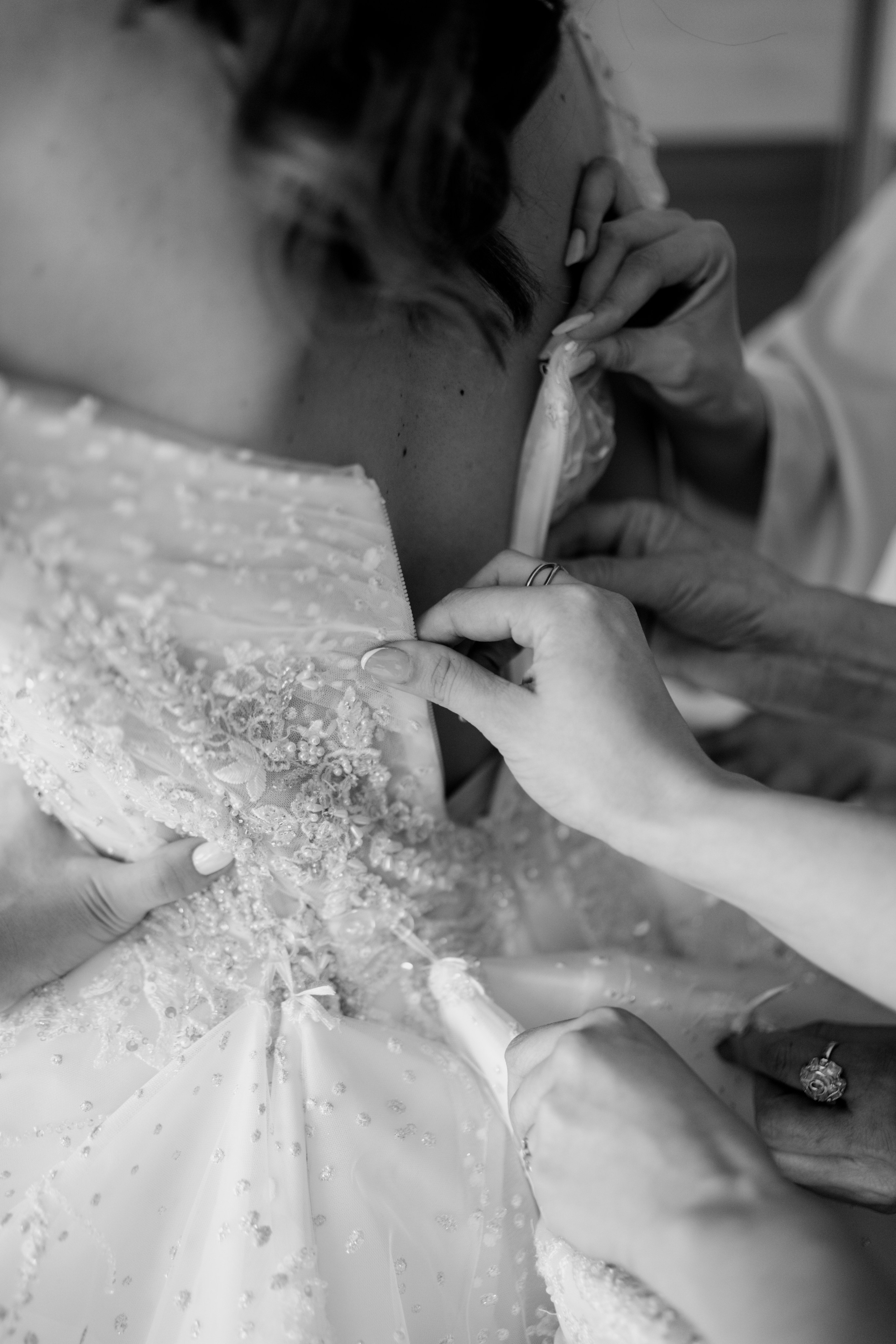 Vladimir & Jovana. NSJ — Wedding Studio