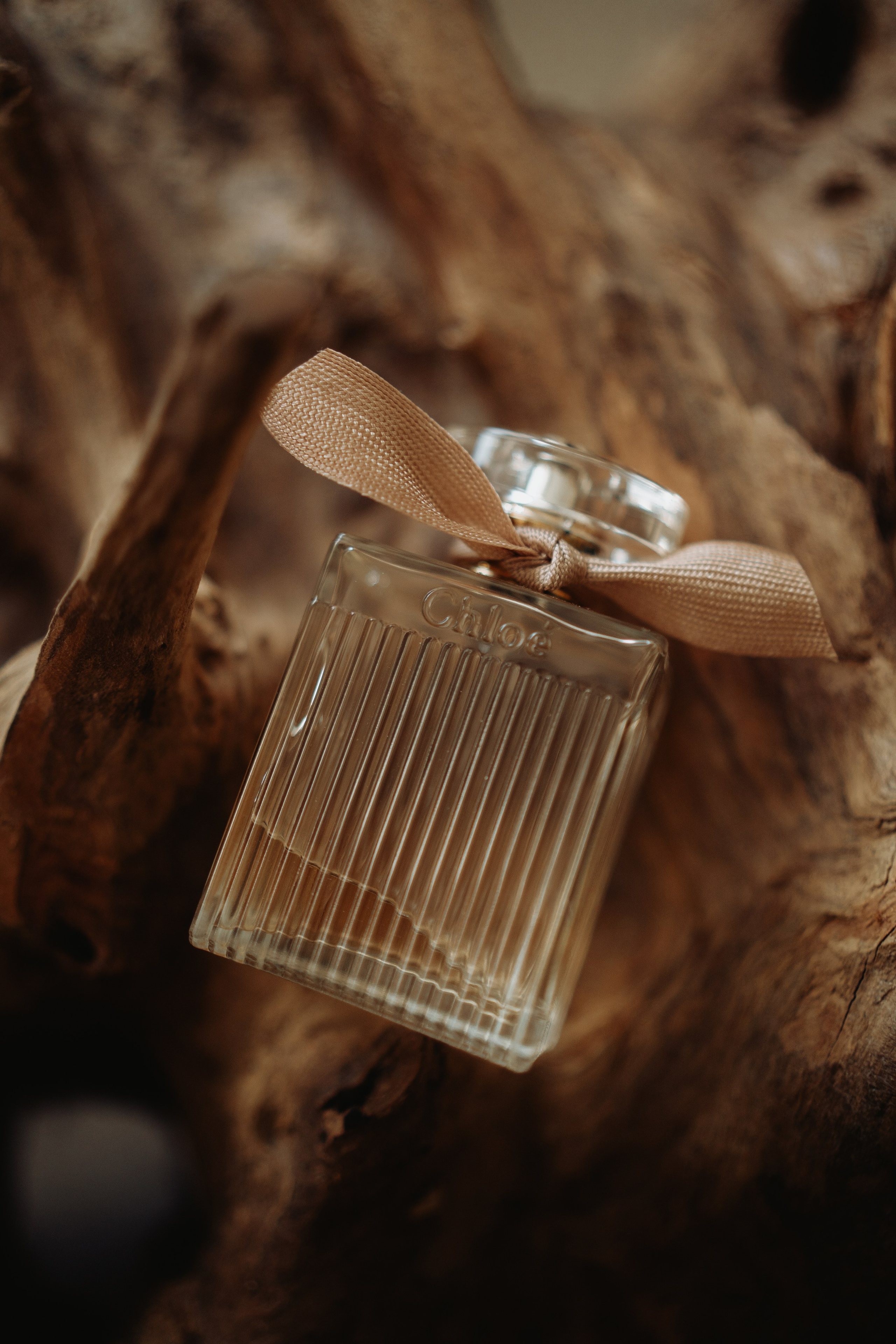 Anthony & Milena. NSJ — Wedding Studio