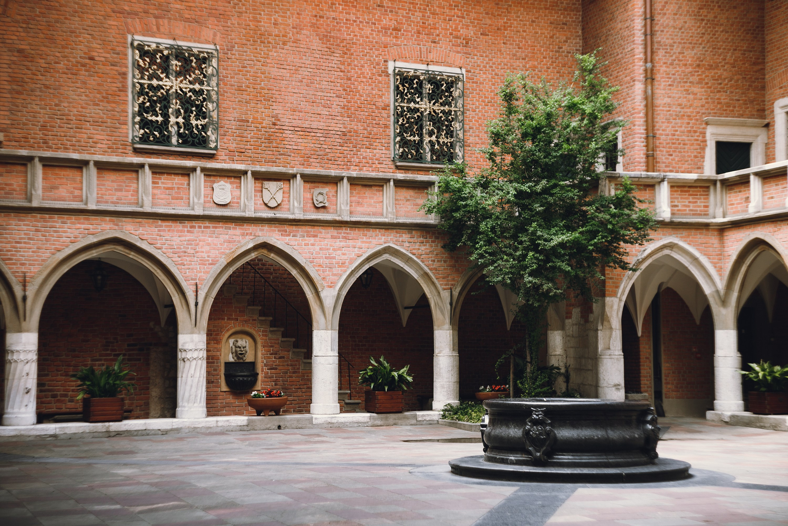 Krakow. Kaja | fotograf psów we Wrocławiu