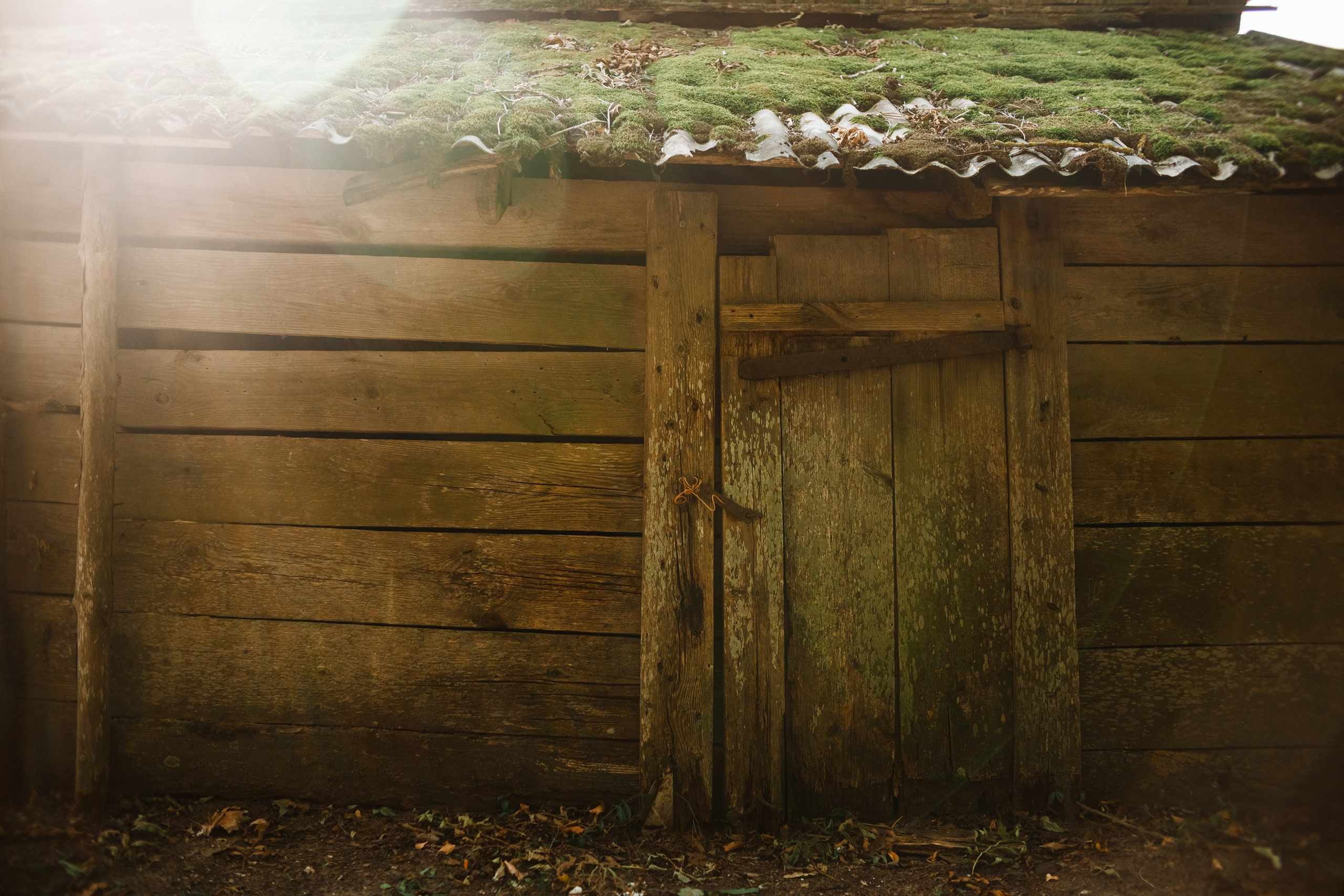 One small village in Grodno region. Kaja | fotograf we Wrocławiu | ludzie i psy