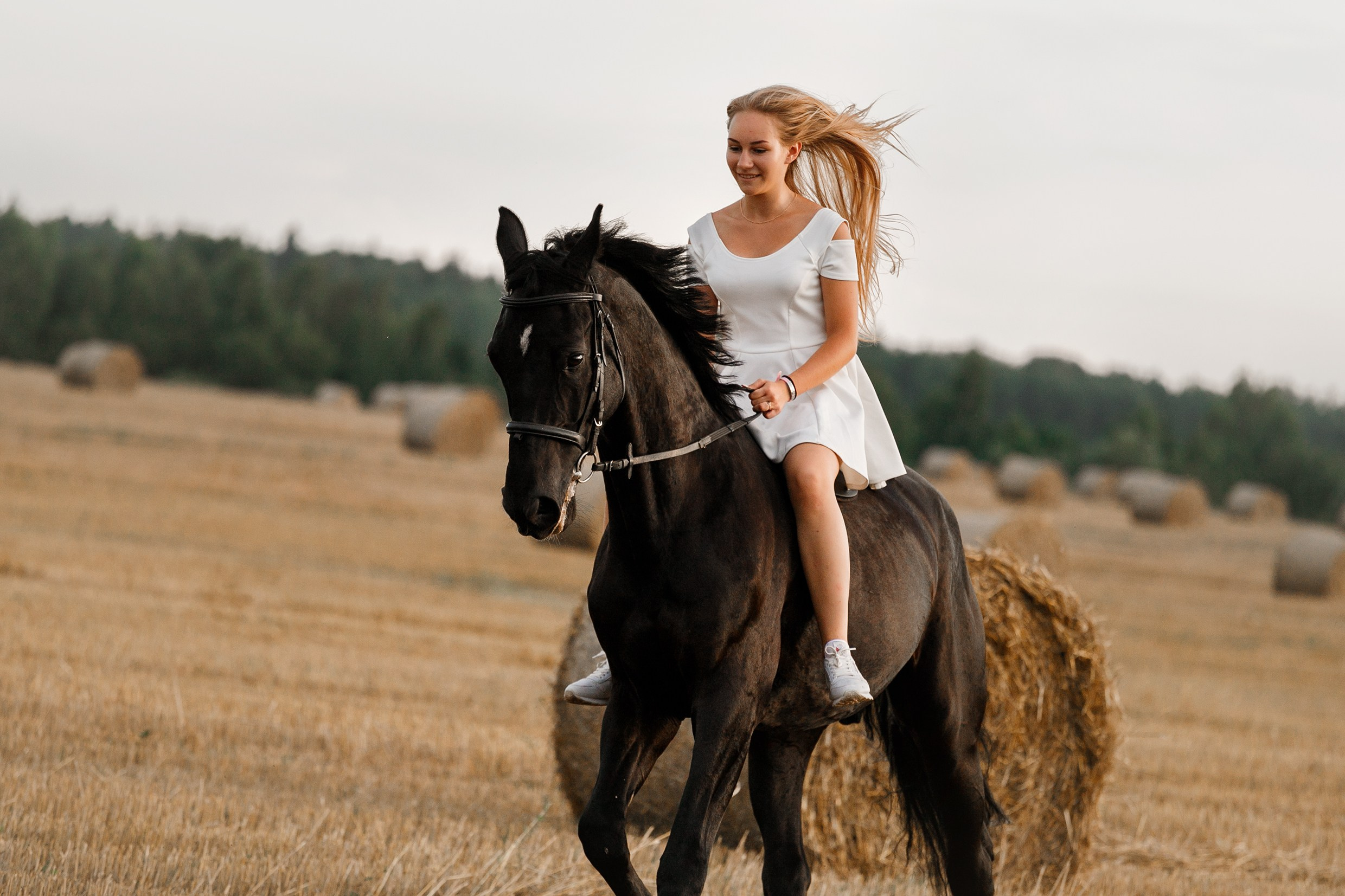 One sunset. Kaja | fotograf psów we Wrocławiu