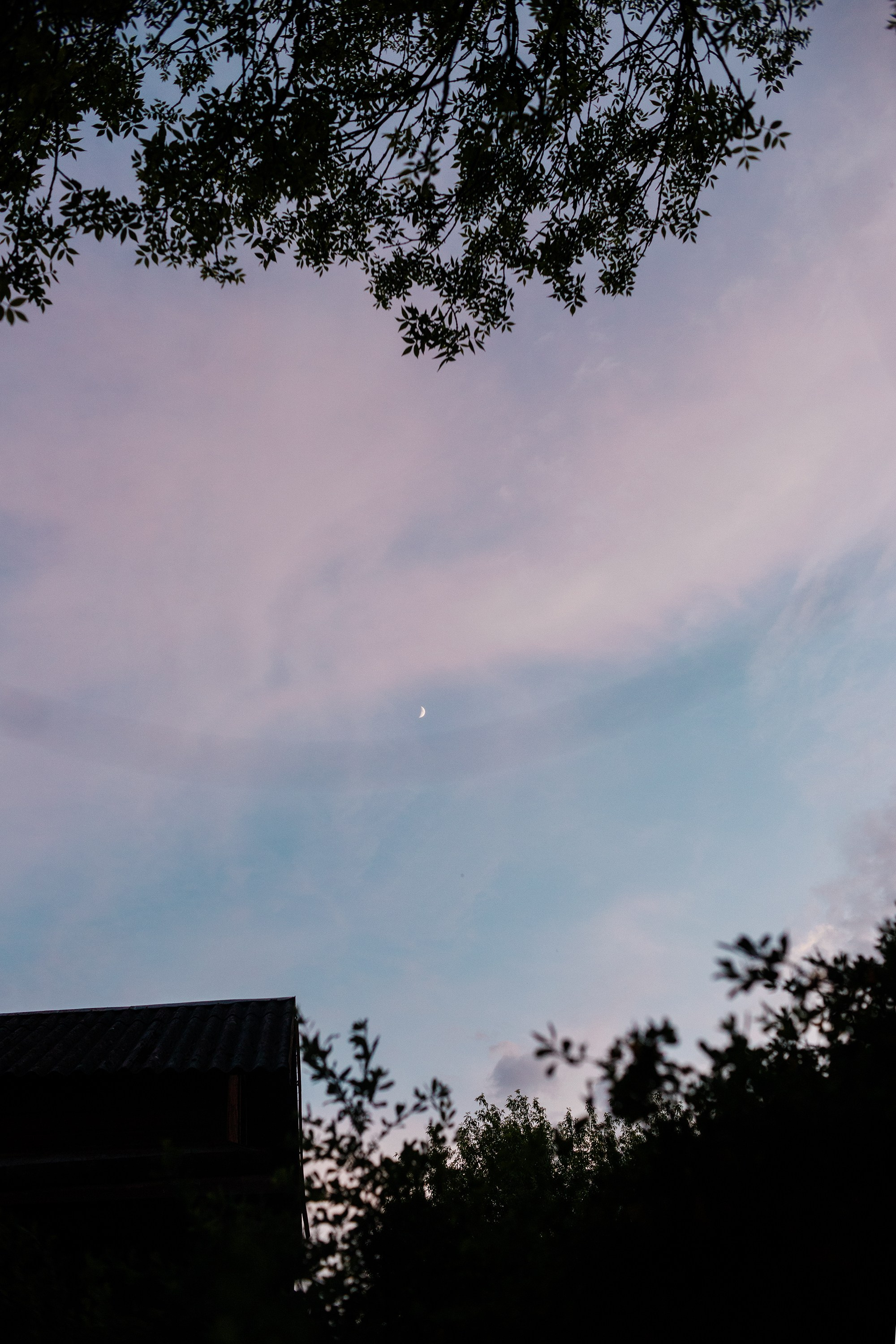 Grodno. Kaja | fotograf we Wrocławiu | ludzie i psy