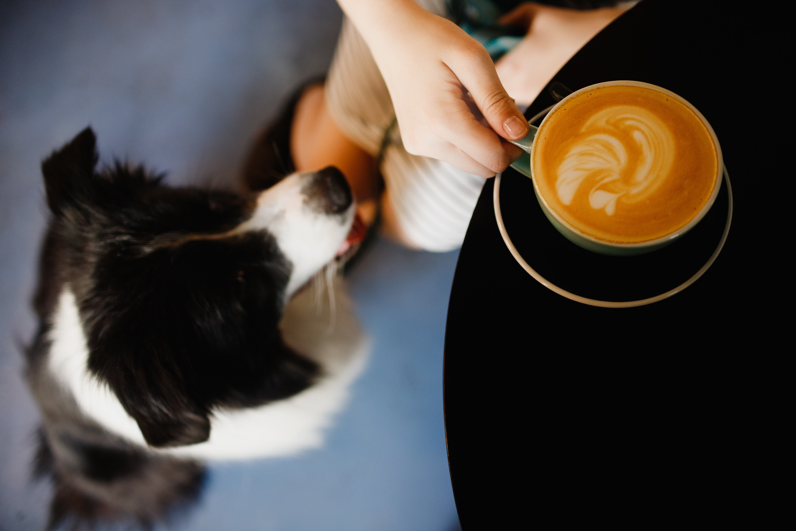 Evgenia & Richard. Kaja | fotograf we Wrocławiu | ludzie i psy