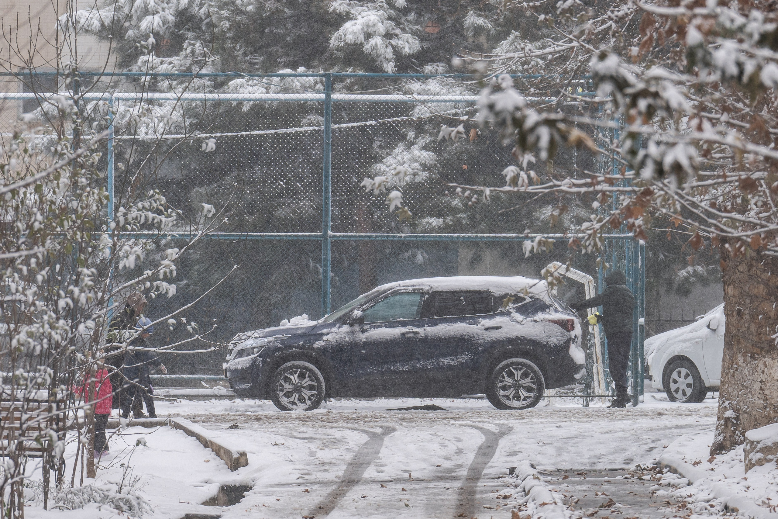 Снег. Георгий Намазов | Фотограф в Ташкенте