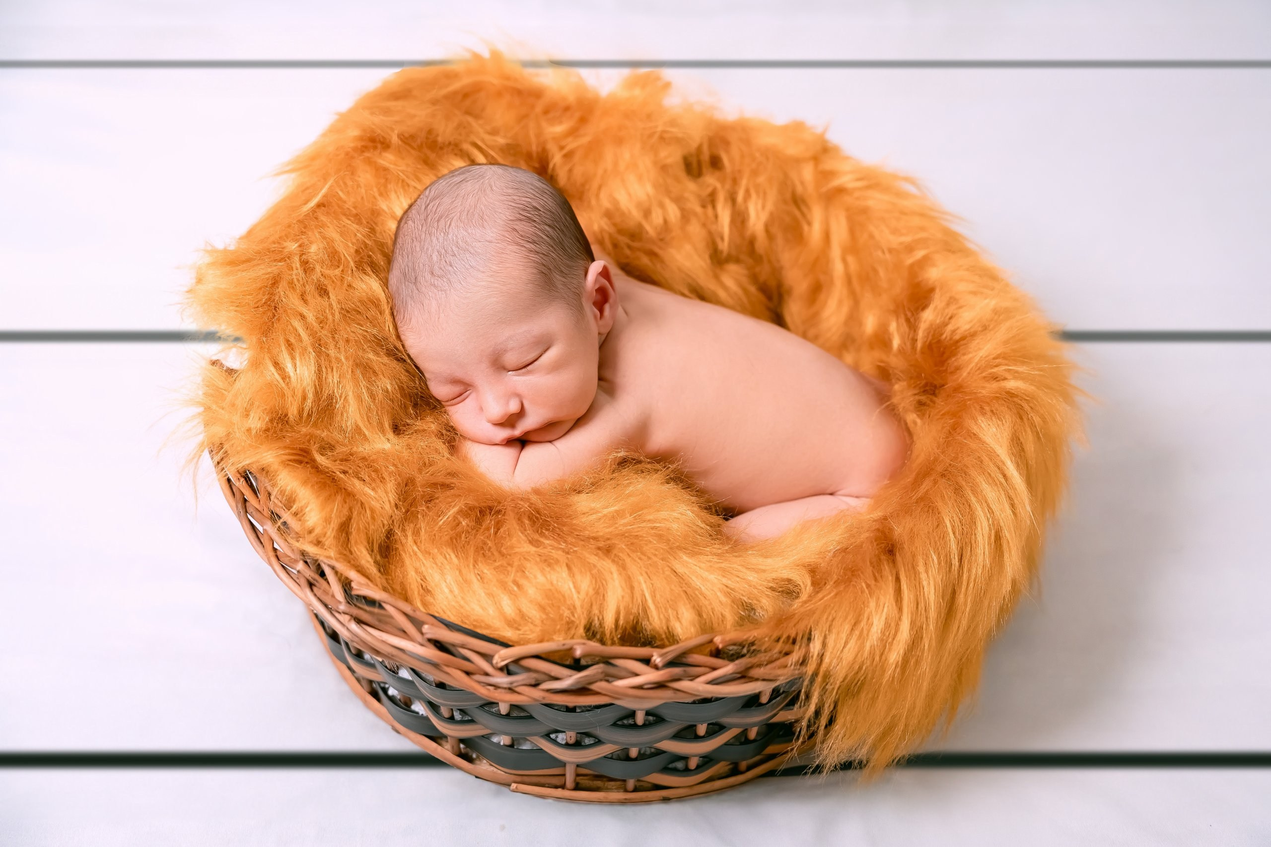 Gael — 30/12/2023. Luiz Medeiros Produções