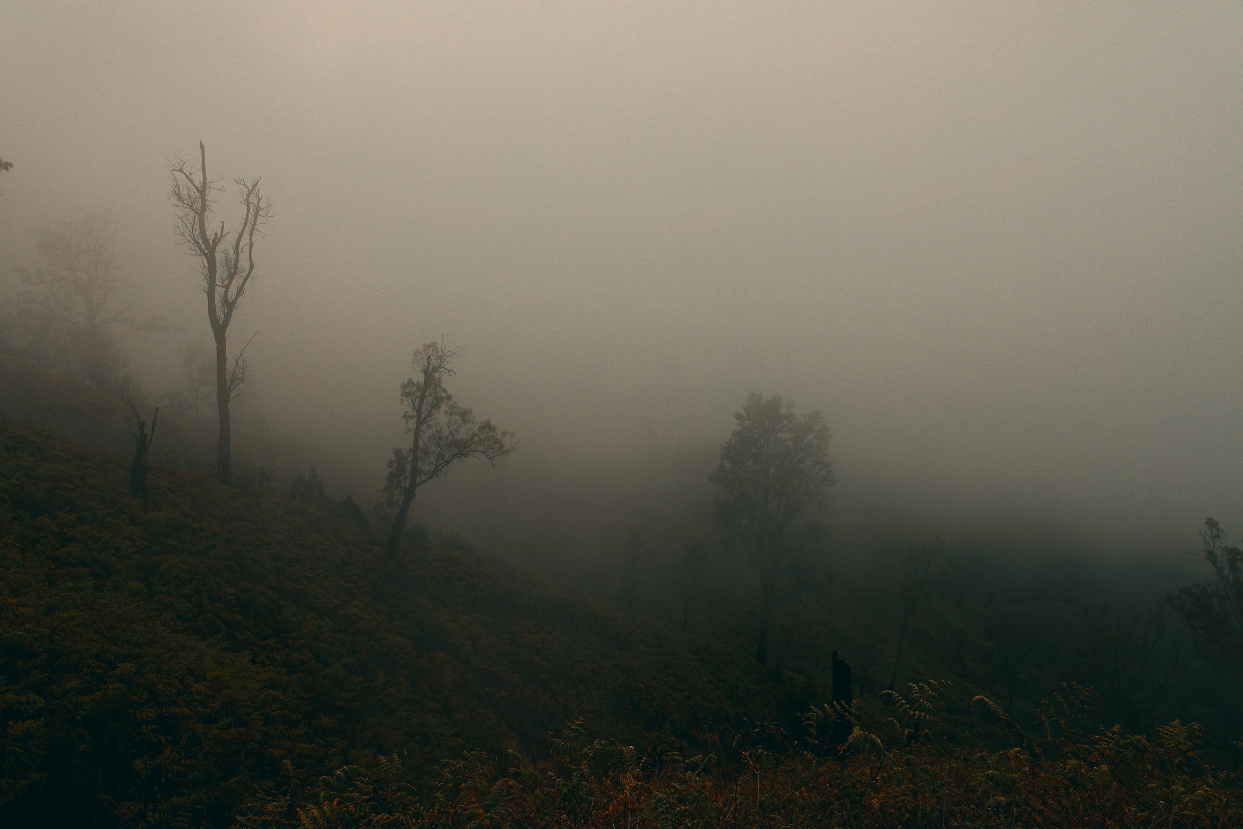 INDONESIE. Photographe Karen Tatevosian