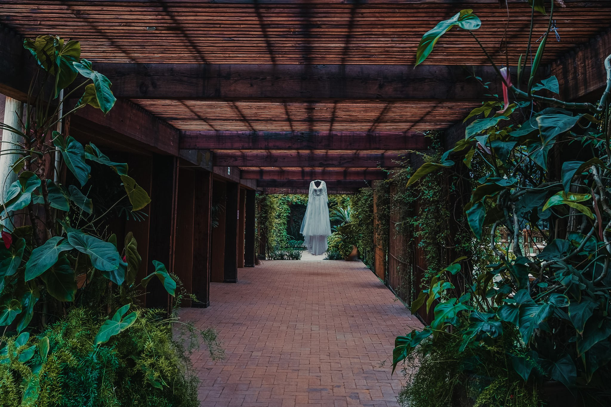 Arely & Eddie. Wedding and family photographer in Mexico City