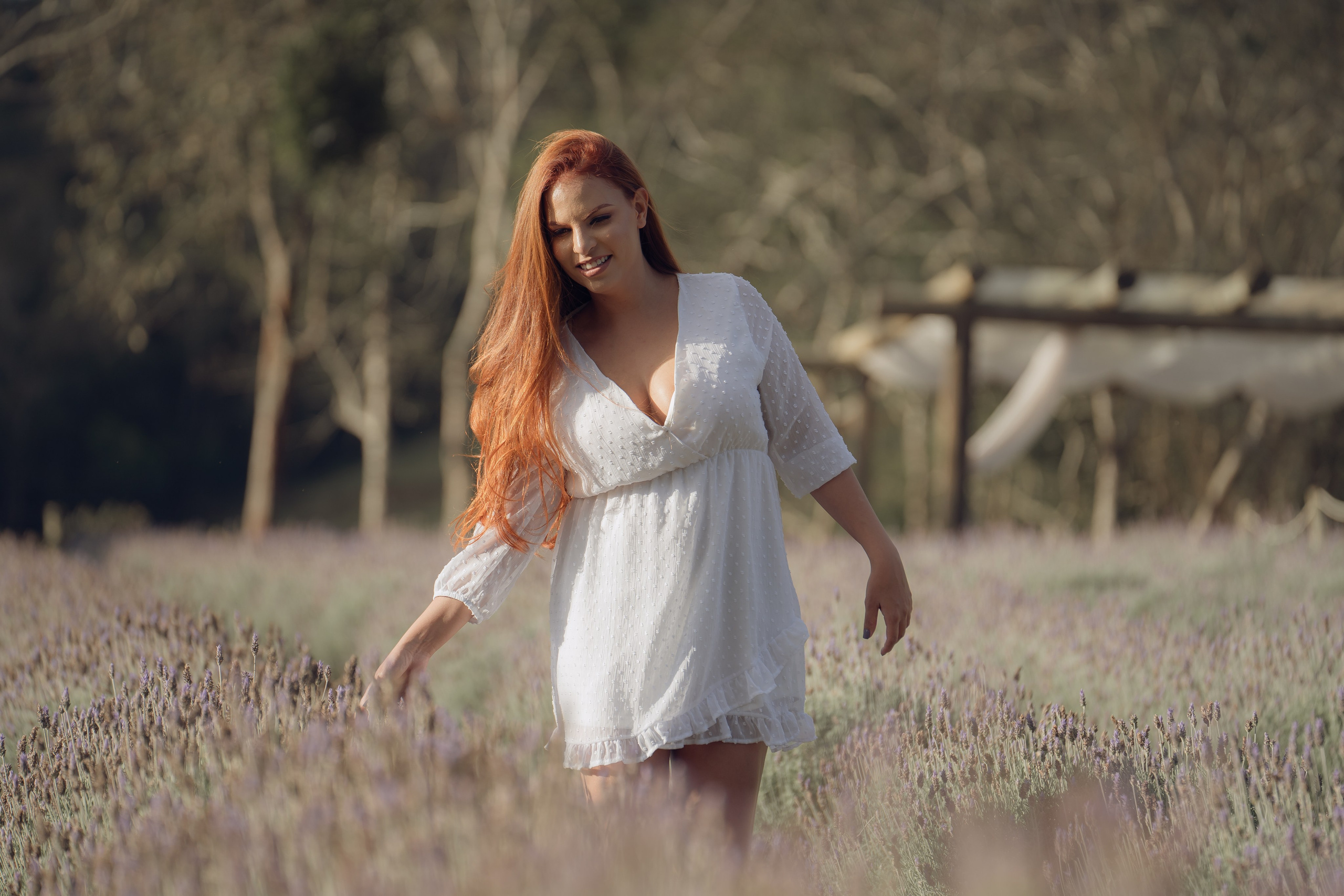Joana & Robert | Lavandário em Pedra Azul. Lembrar não é só ver. É sentir de novo