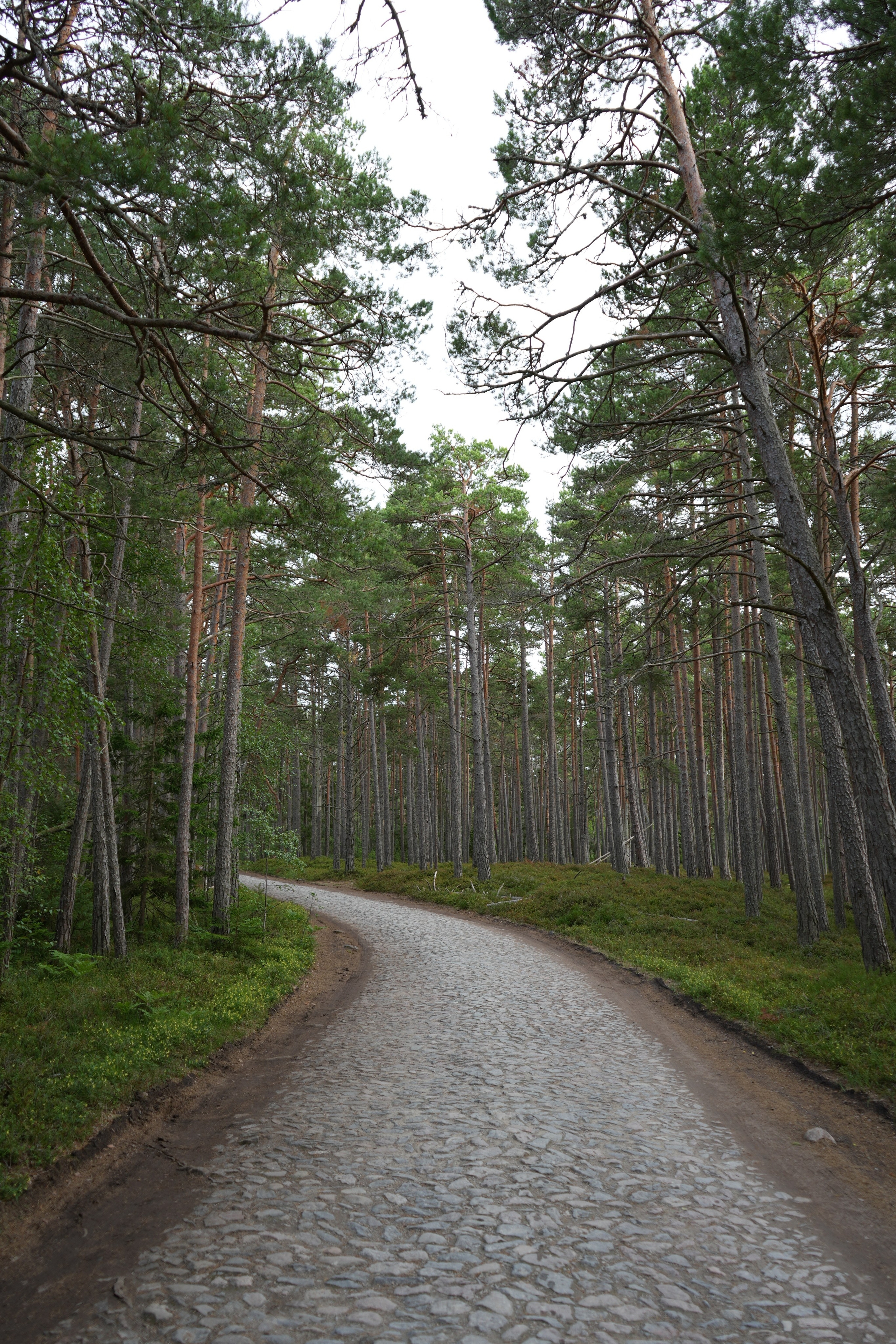 Whispers of Estonia. Photography | Videography | Marketing