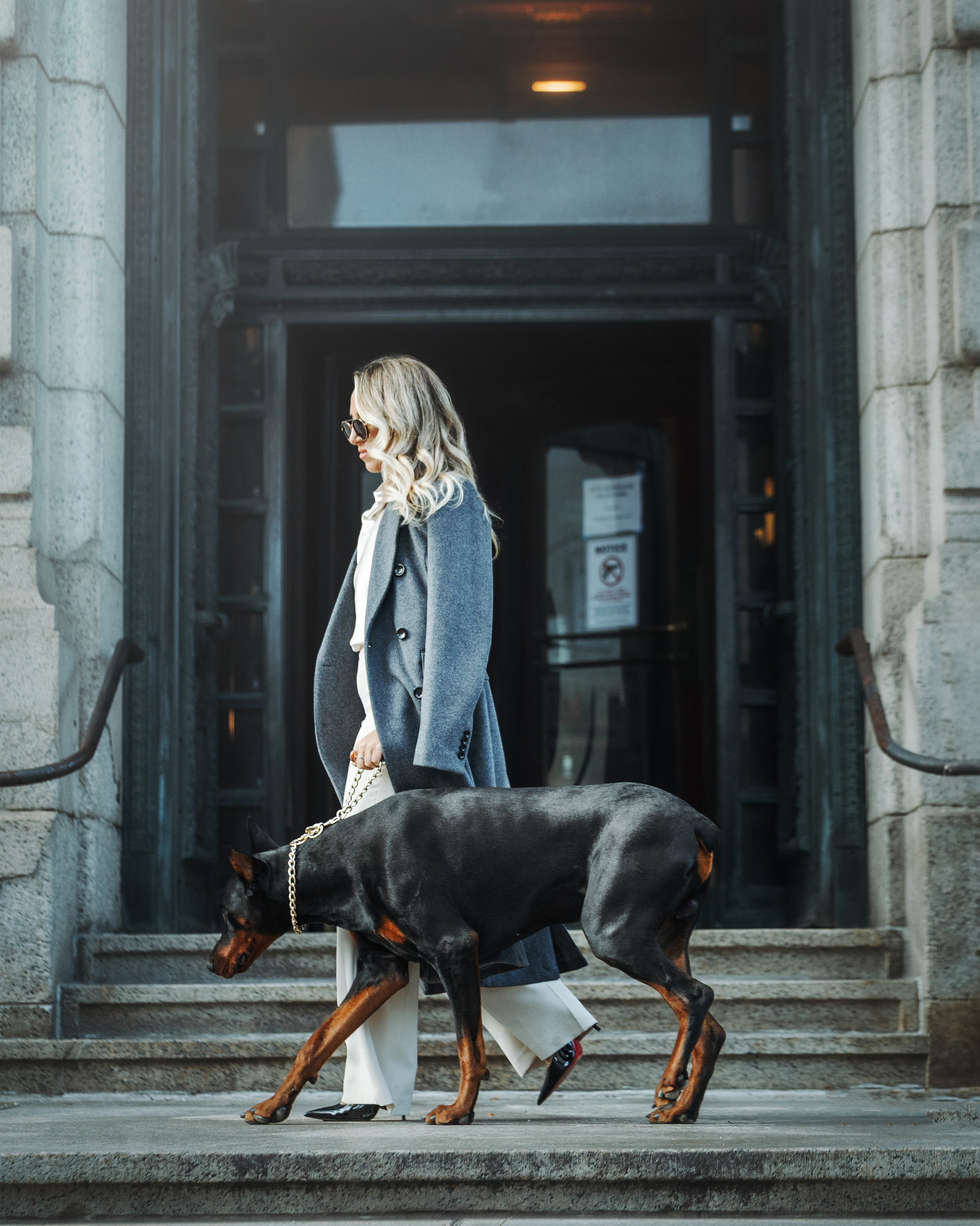 Enzo & Victoriya. Pet Photographer Viktoriya Aleshenko