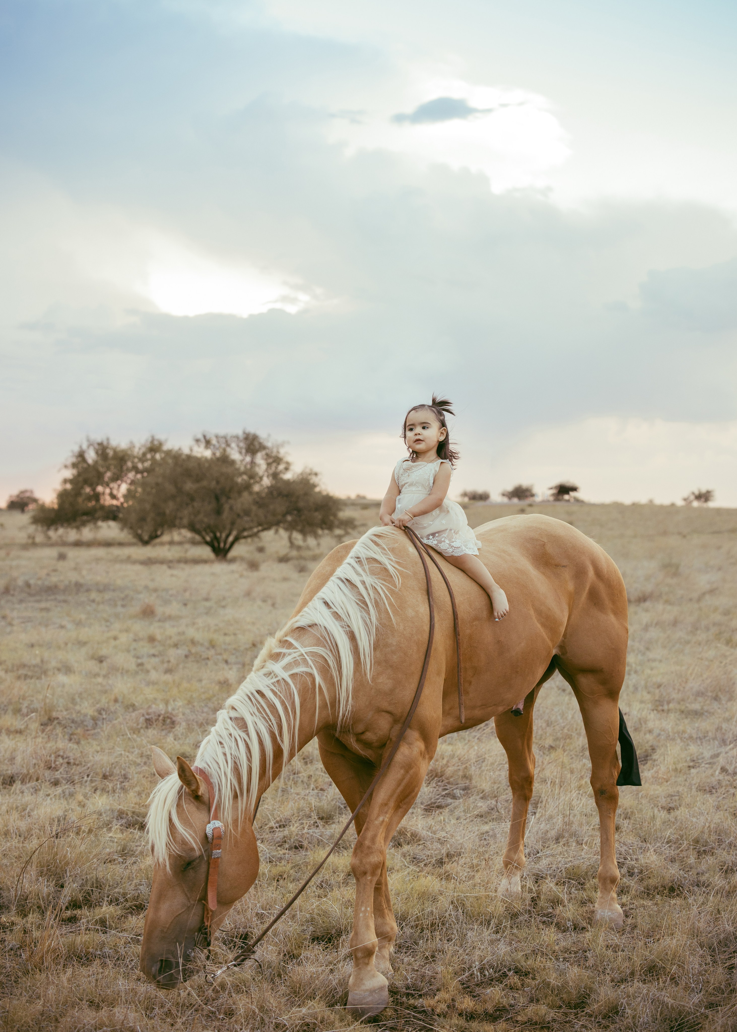 Family photographer Rochester Hills. Anastasia Post: Wedding and Editorial Photography