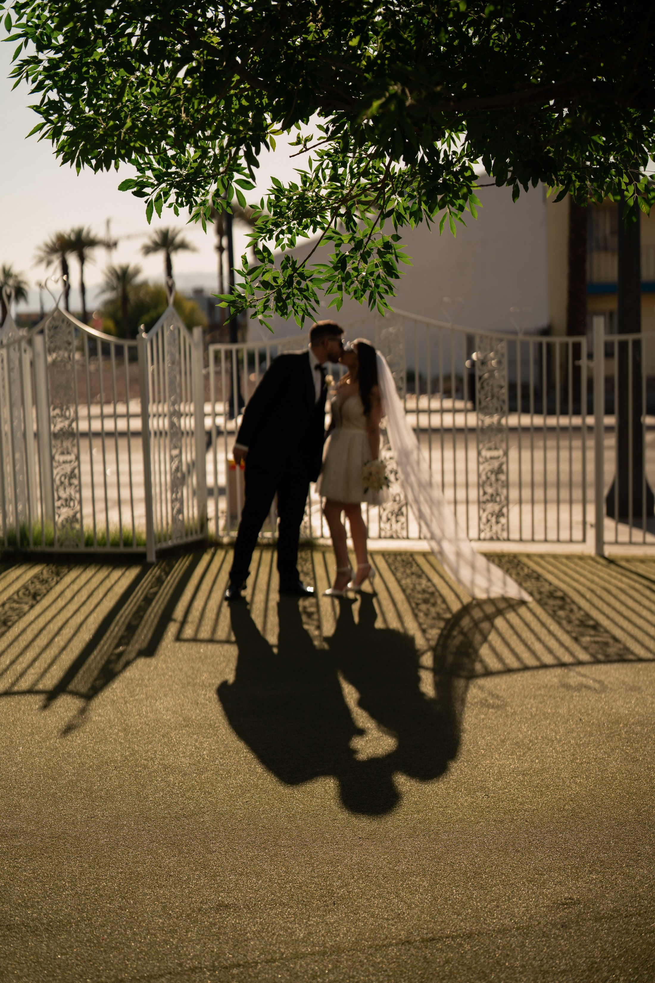 Darrien&Jabriel. Wedding & elopement photographer Viktoriya Kravtsov. Las Vegas