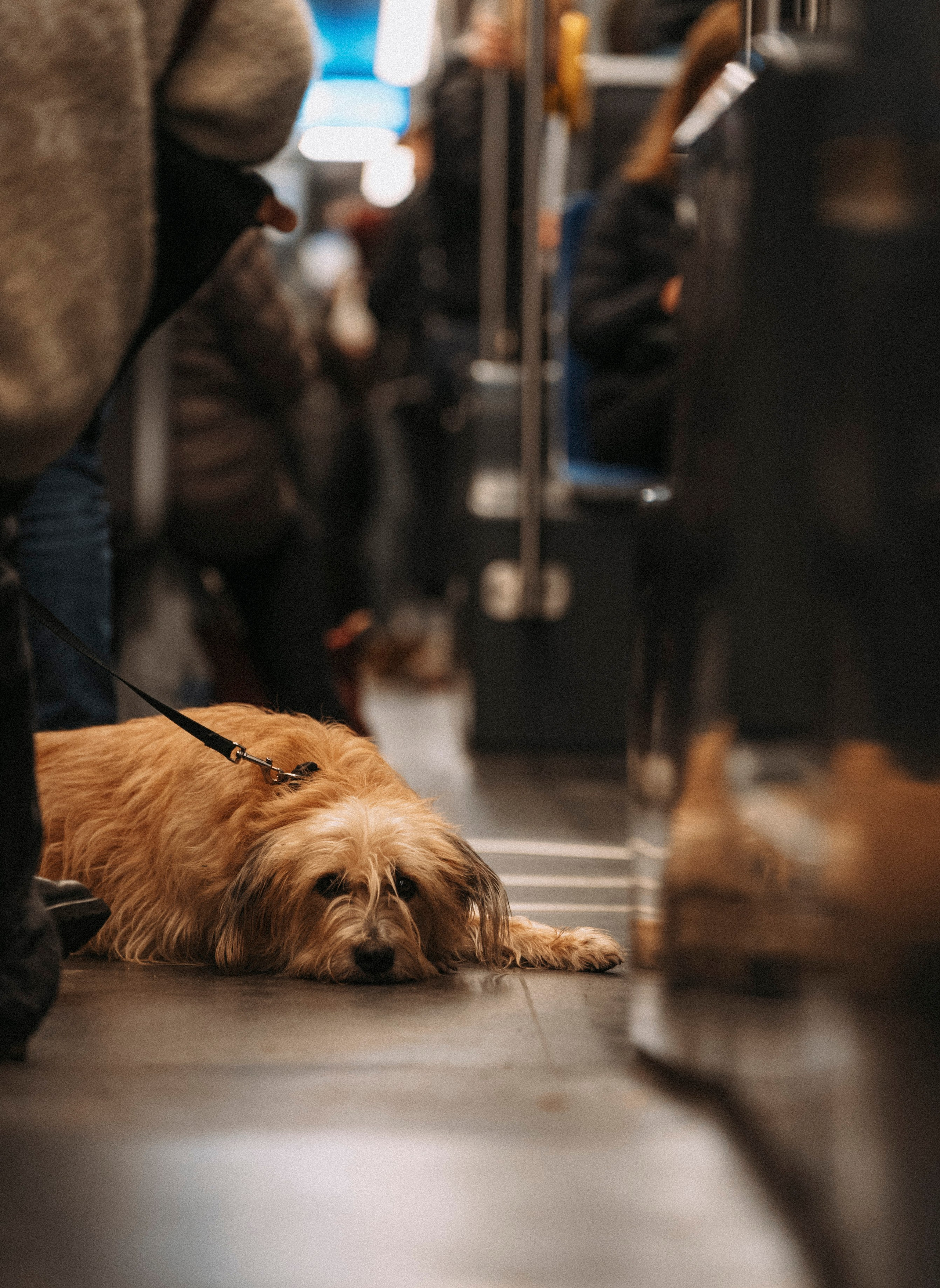 ЕВРОТУР. Стрит-фотография, полная абсурда, идиотизма и красоты