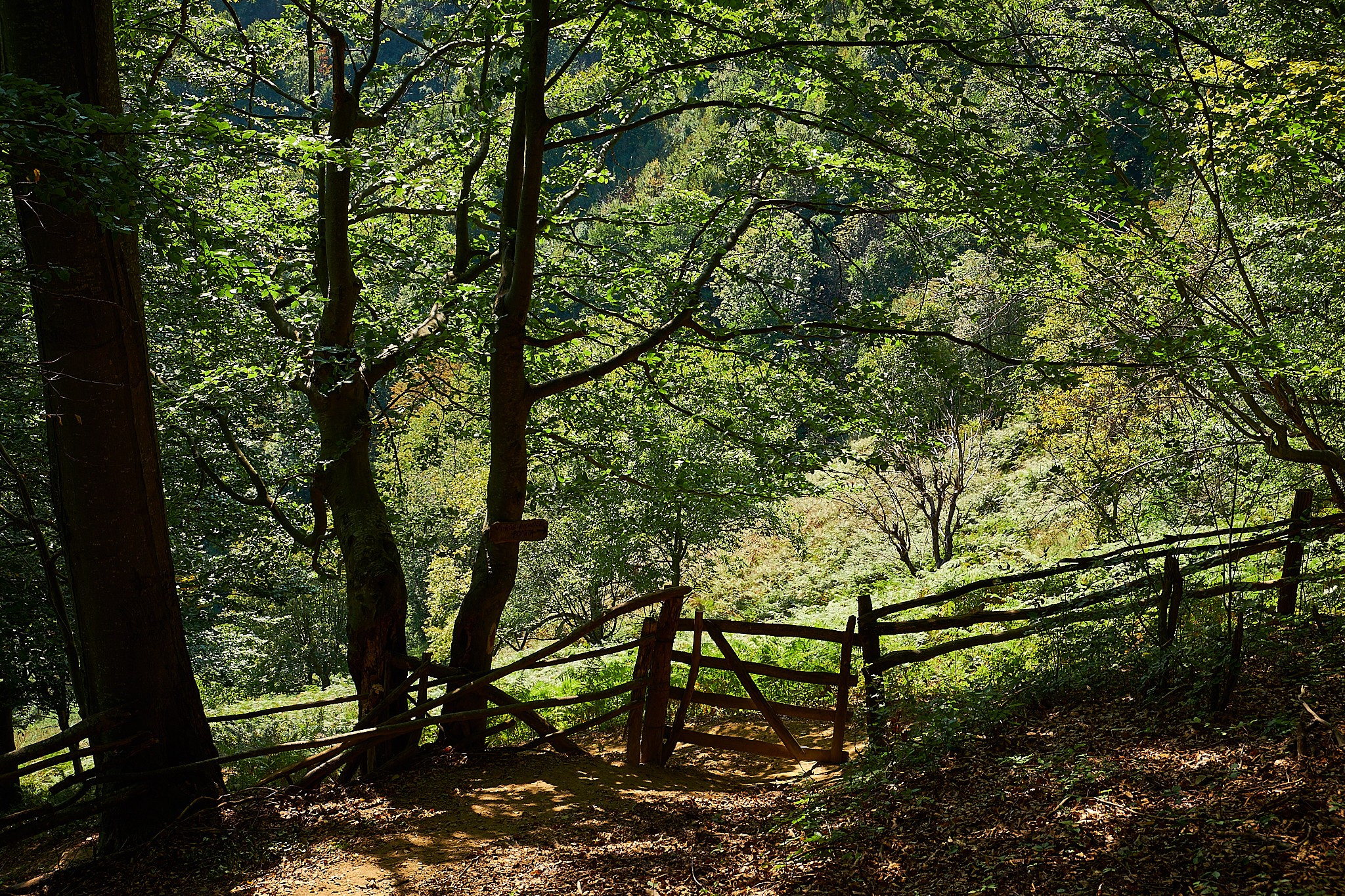 Ineleț, jud. Caraș-Severin. Pagina principală