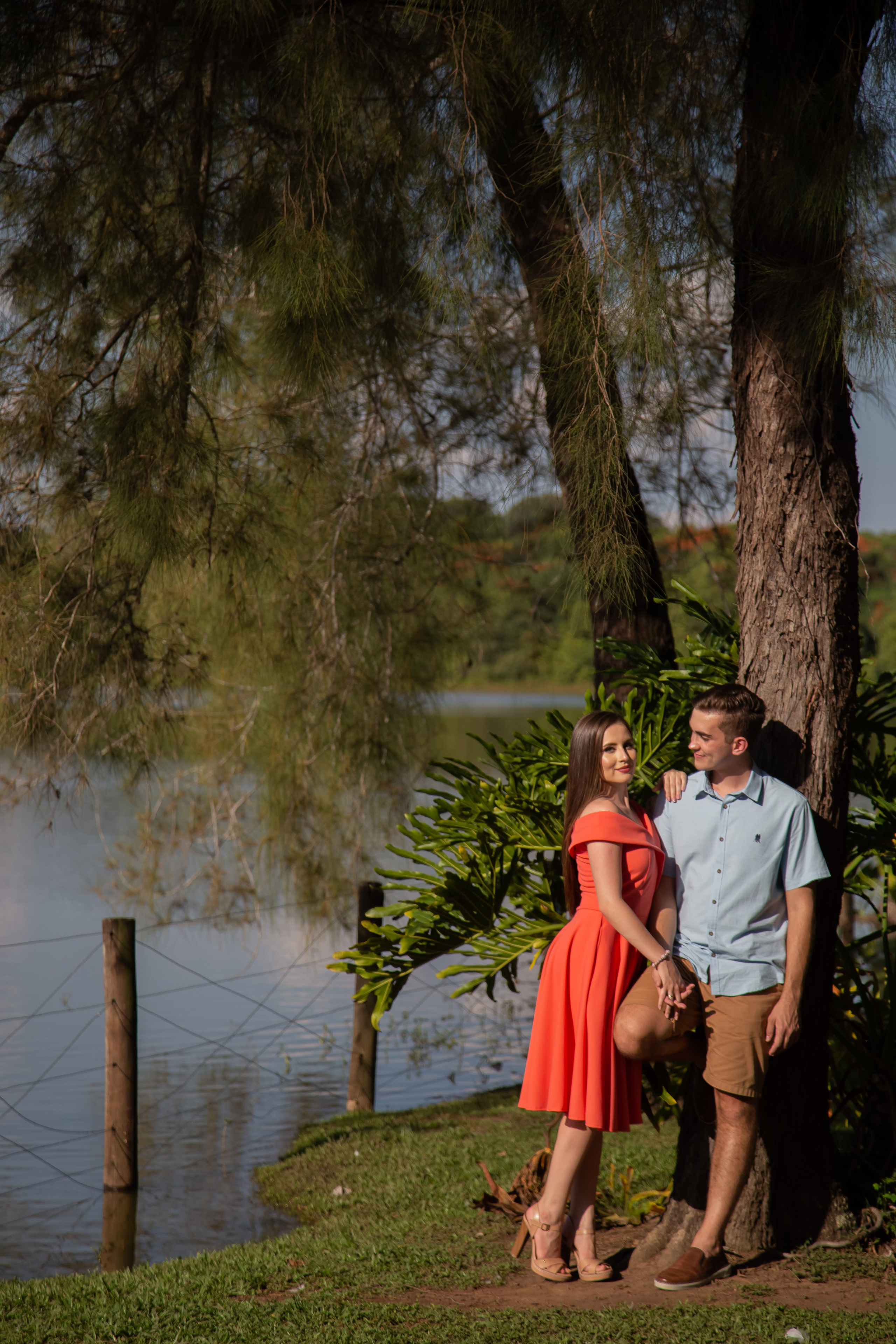 Ensaio Holambra. Tela cheia