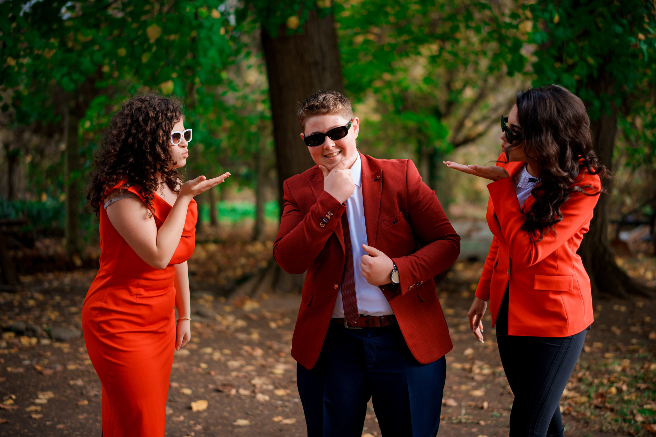 Distracție Gratuit. Trendy Albums