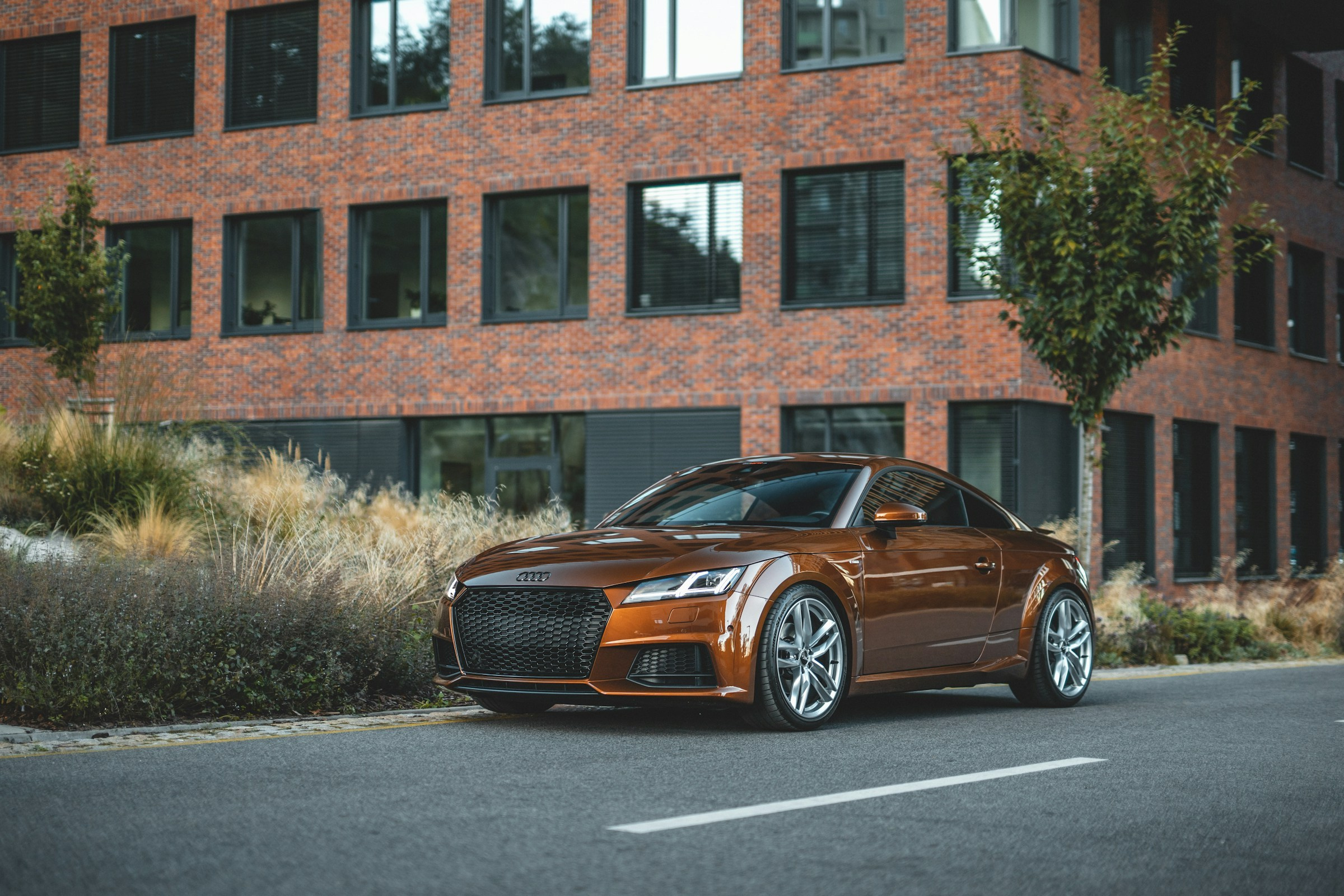 Automotive. Stargazing Production