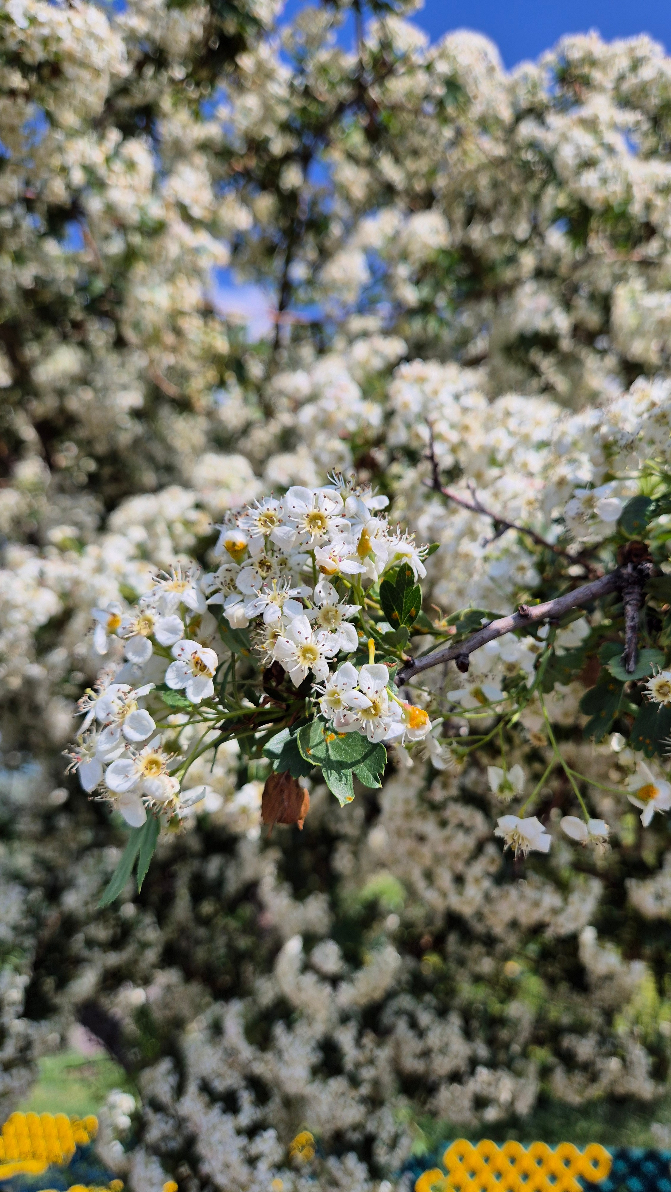 Uzbekistan 2024. Photographer Marina, city of Nuremberg