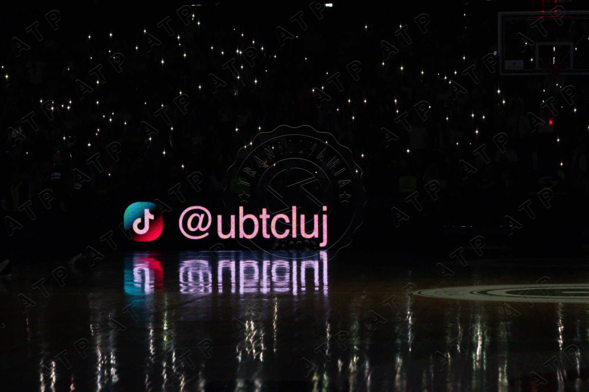 Baschet. Vescan Pictures - fotografie de eveniment