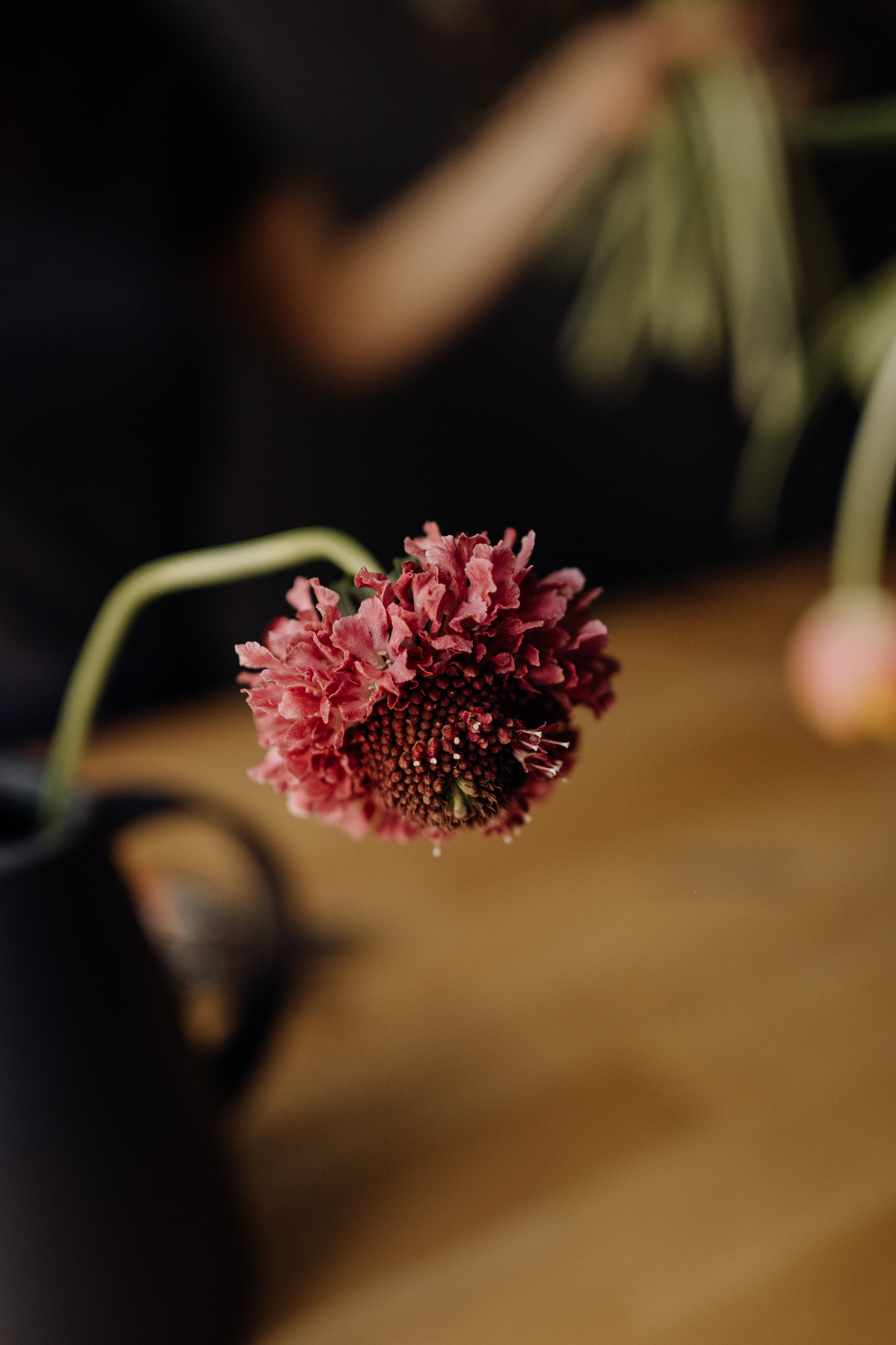 Elena. Фотограф в Праге Анна Лебедева