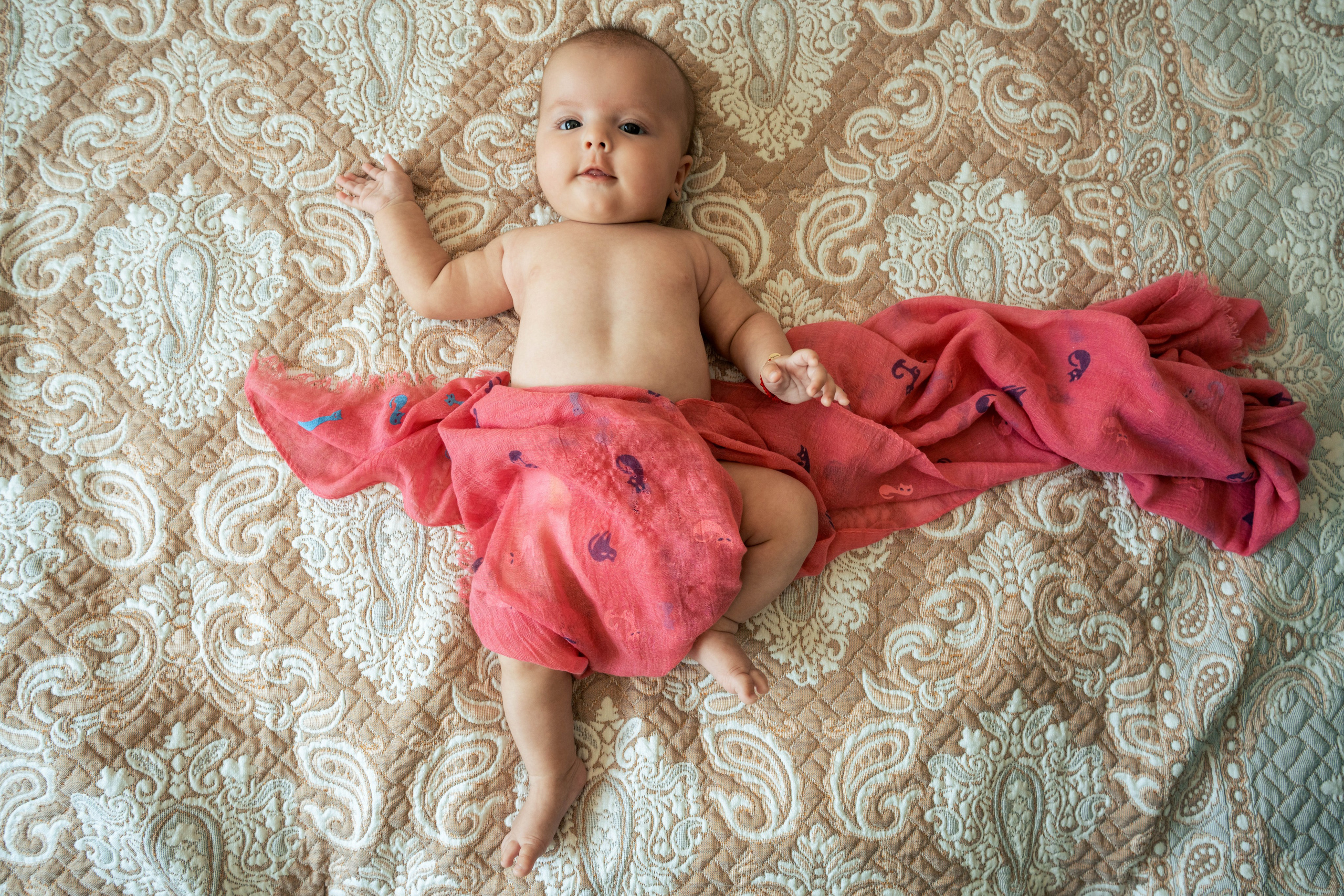 Cezara Maria. Acasă