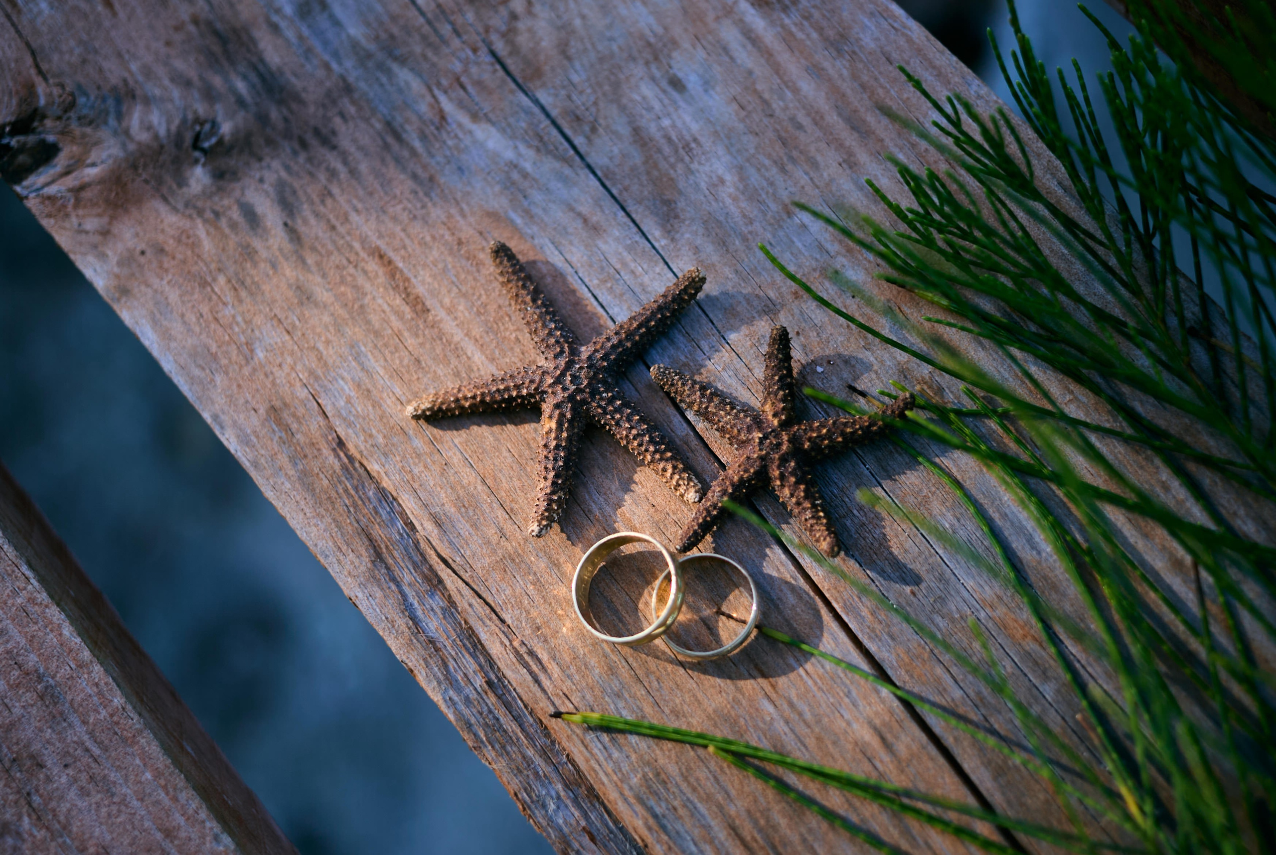 Samuel & ADriana. Christian Ku fotógrafo en Mérida, Yucatán