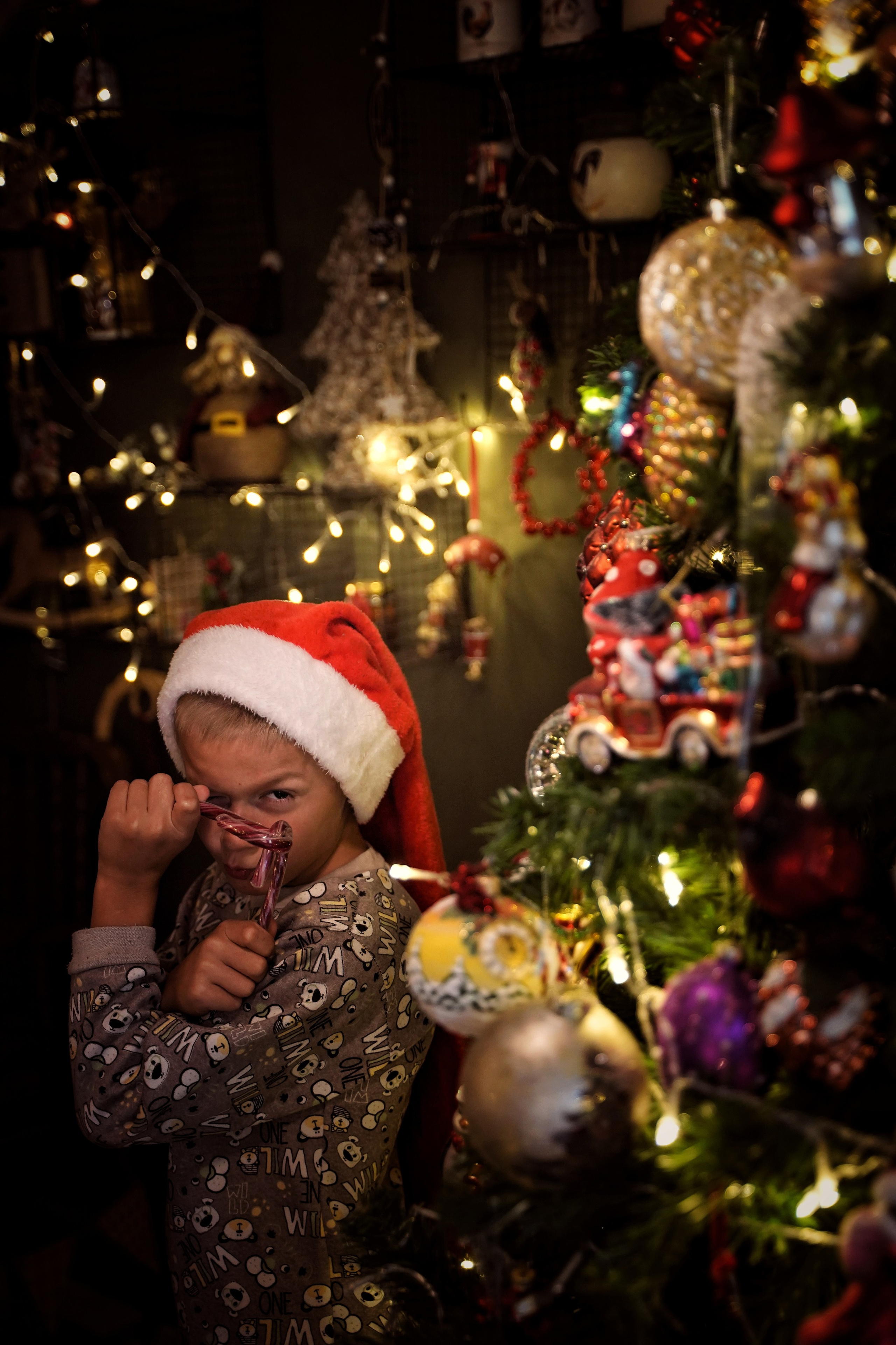 Эльфы. Фотограф. Визуал. Хайфа. Талья Цветкова