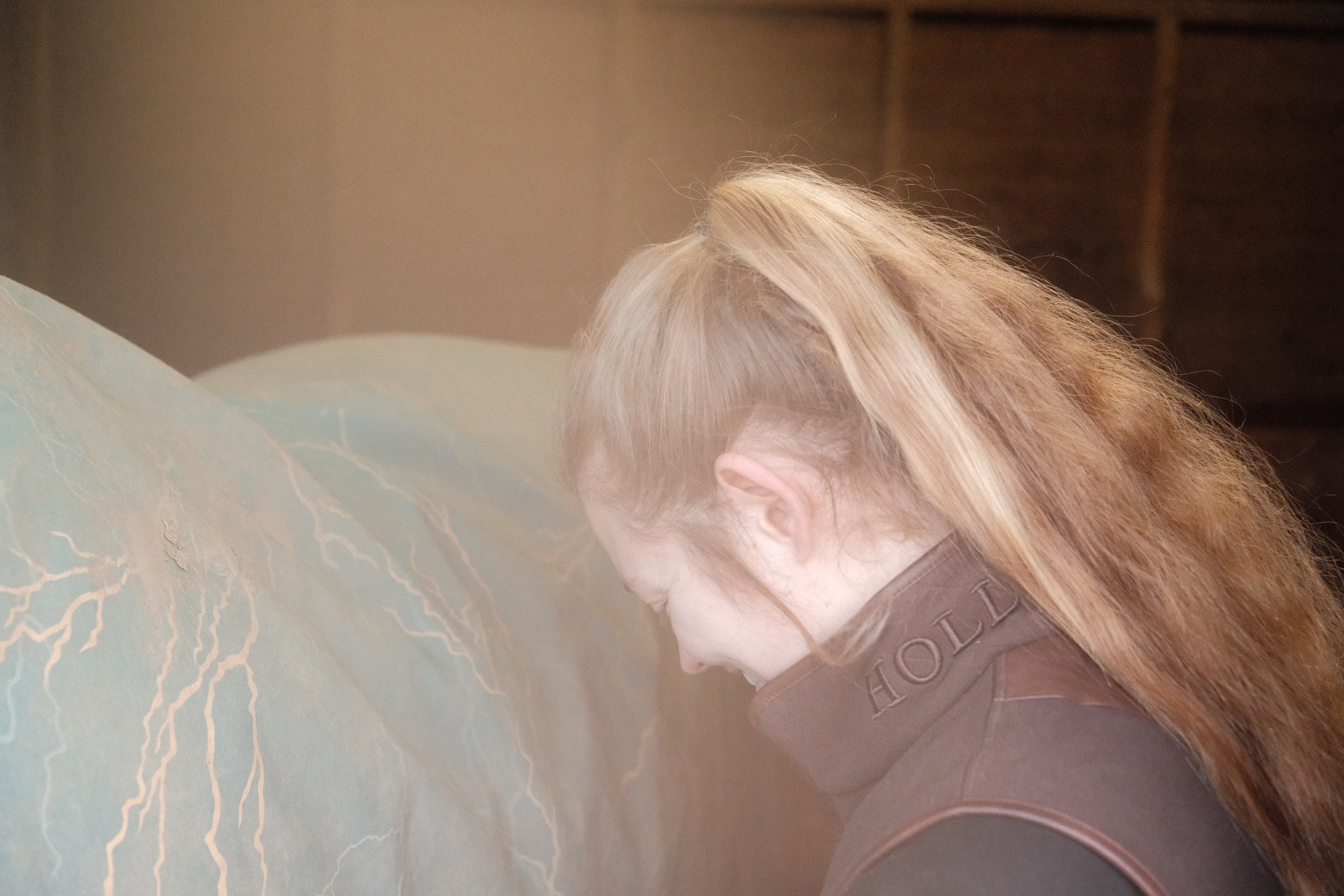 Portrait photography with Fudge the horse. Cal Takes Photos