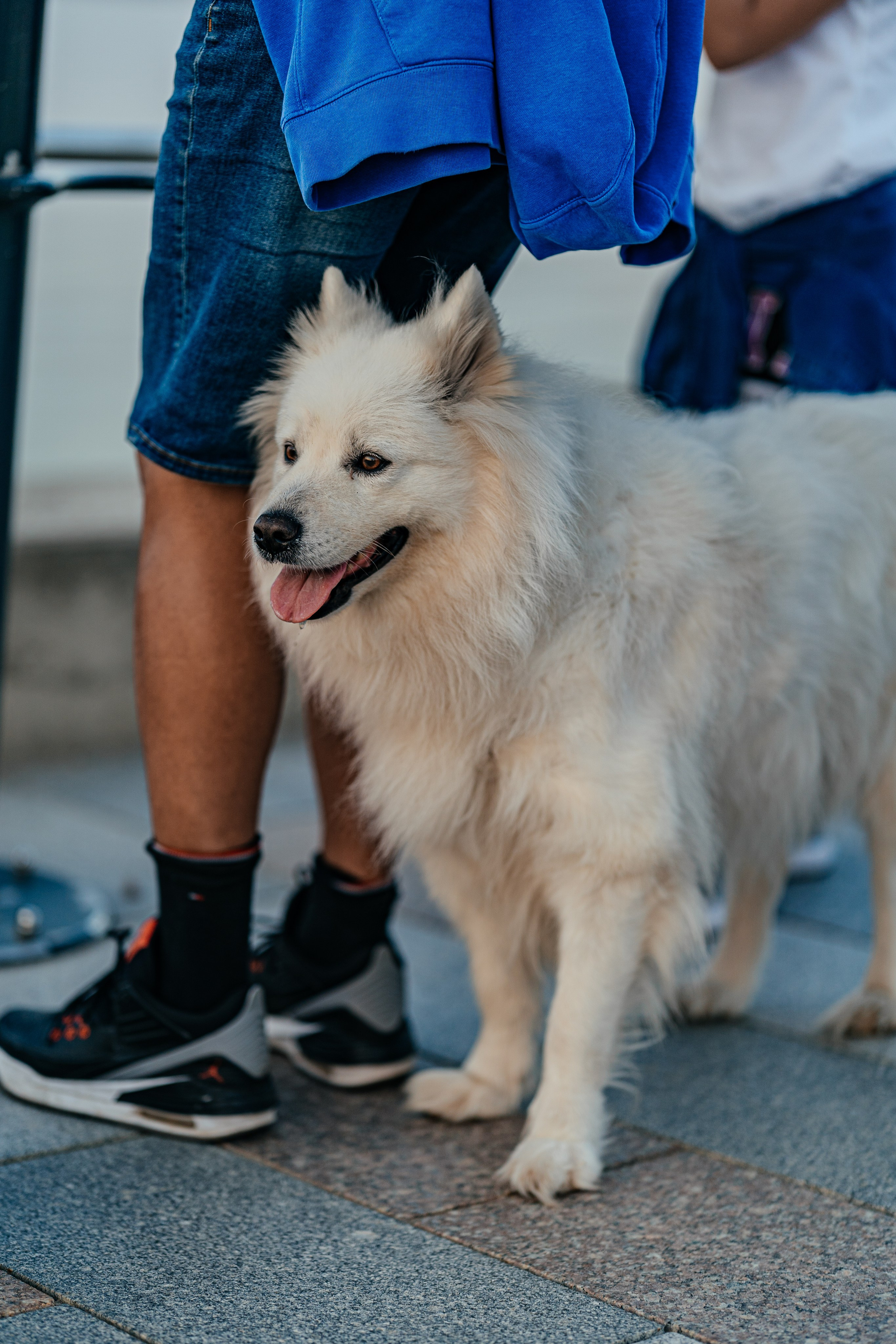 Street photo. Uvarovsphoto