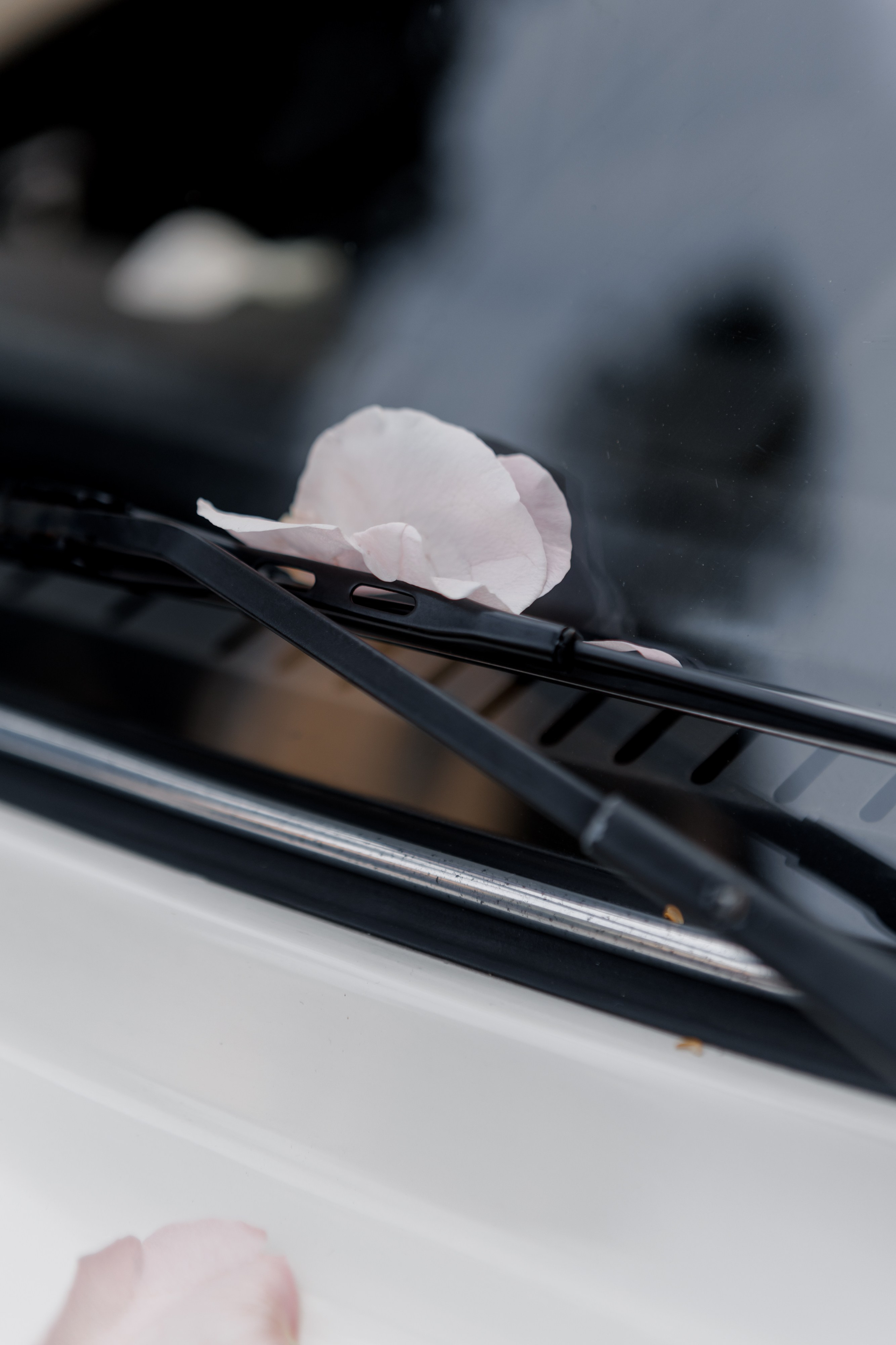 D & S — Lago Maggiore, Italy. Destination Hochzeitsfotografin aus München - Valeria Berk