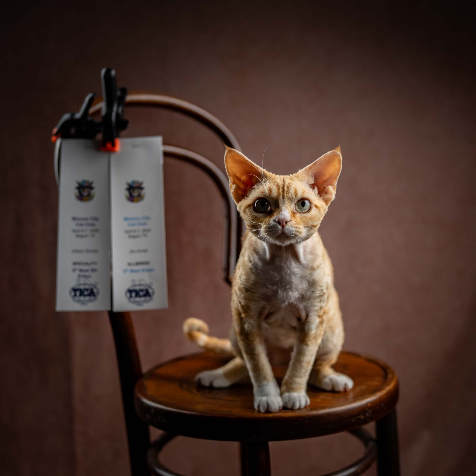 Choux. Photographer Irina Kozhemyakina. Houston